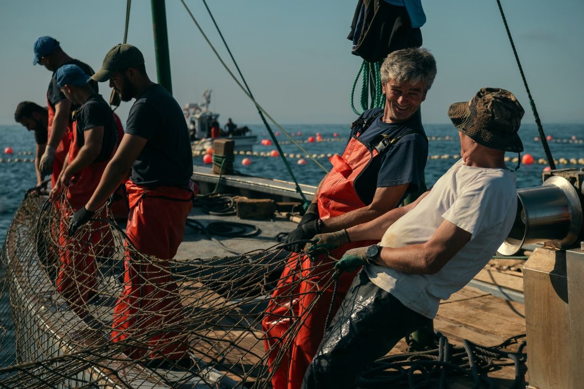 Tuna fishing in Spain