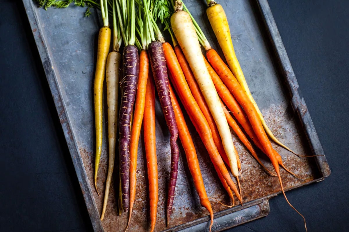 Runkel carrot and porcini mushrooms.