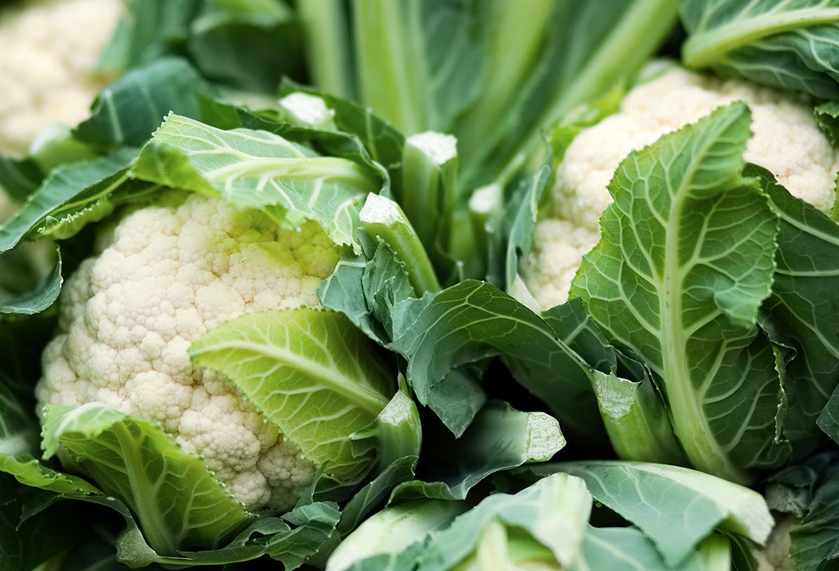 Cauliflowers