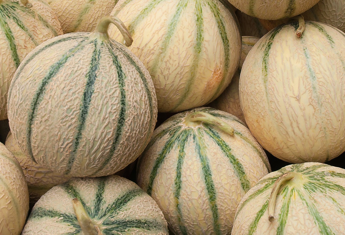 Melons