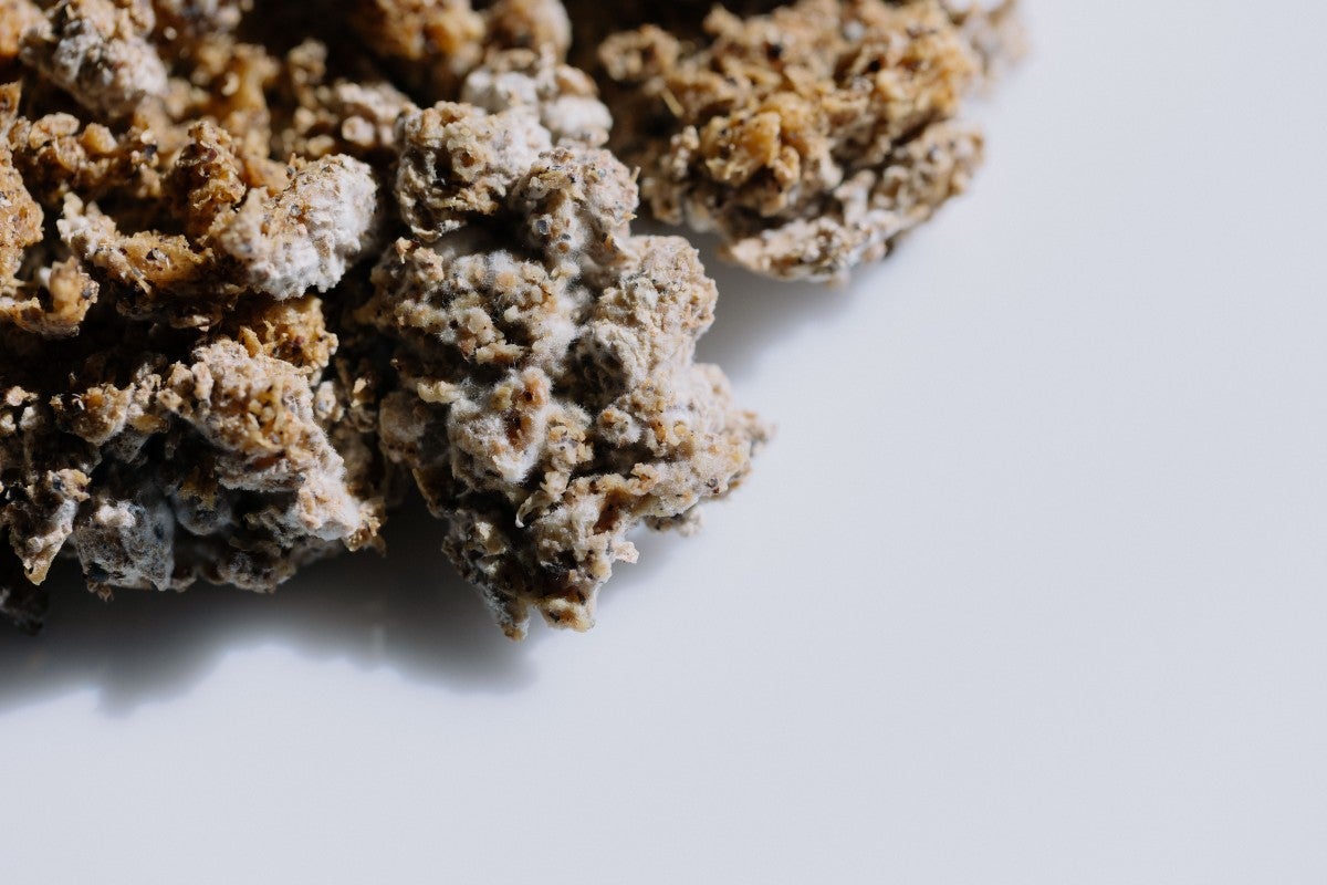 Rapeseed fermentation.