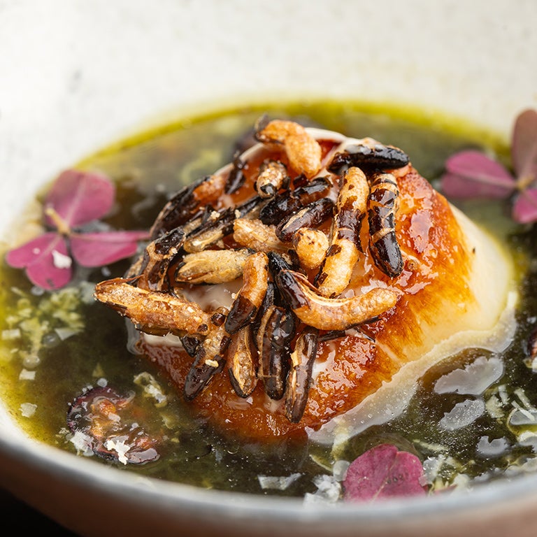 A scallop dish at Baroo.