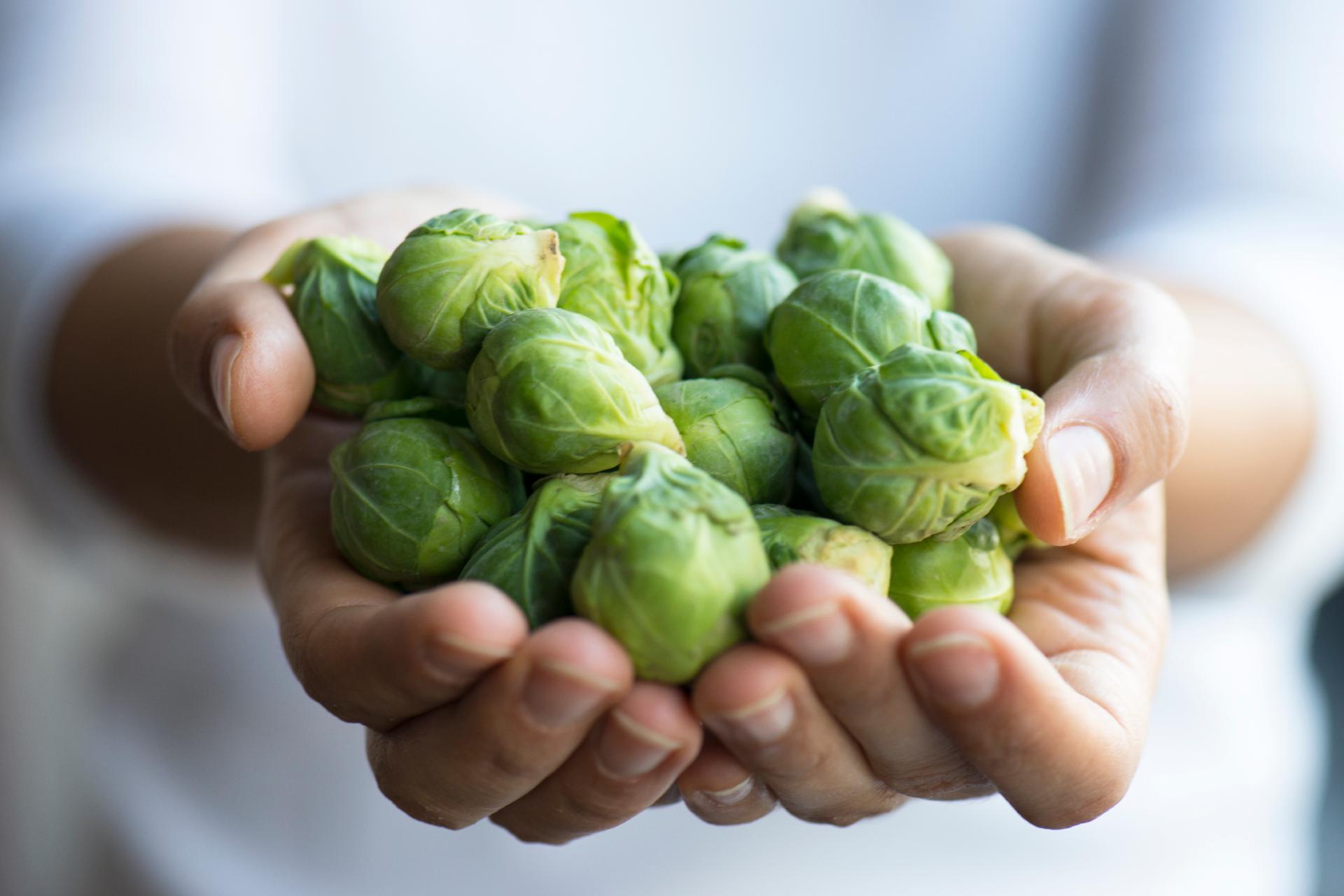 hands_holding_brussels_sprouts