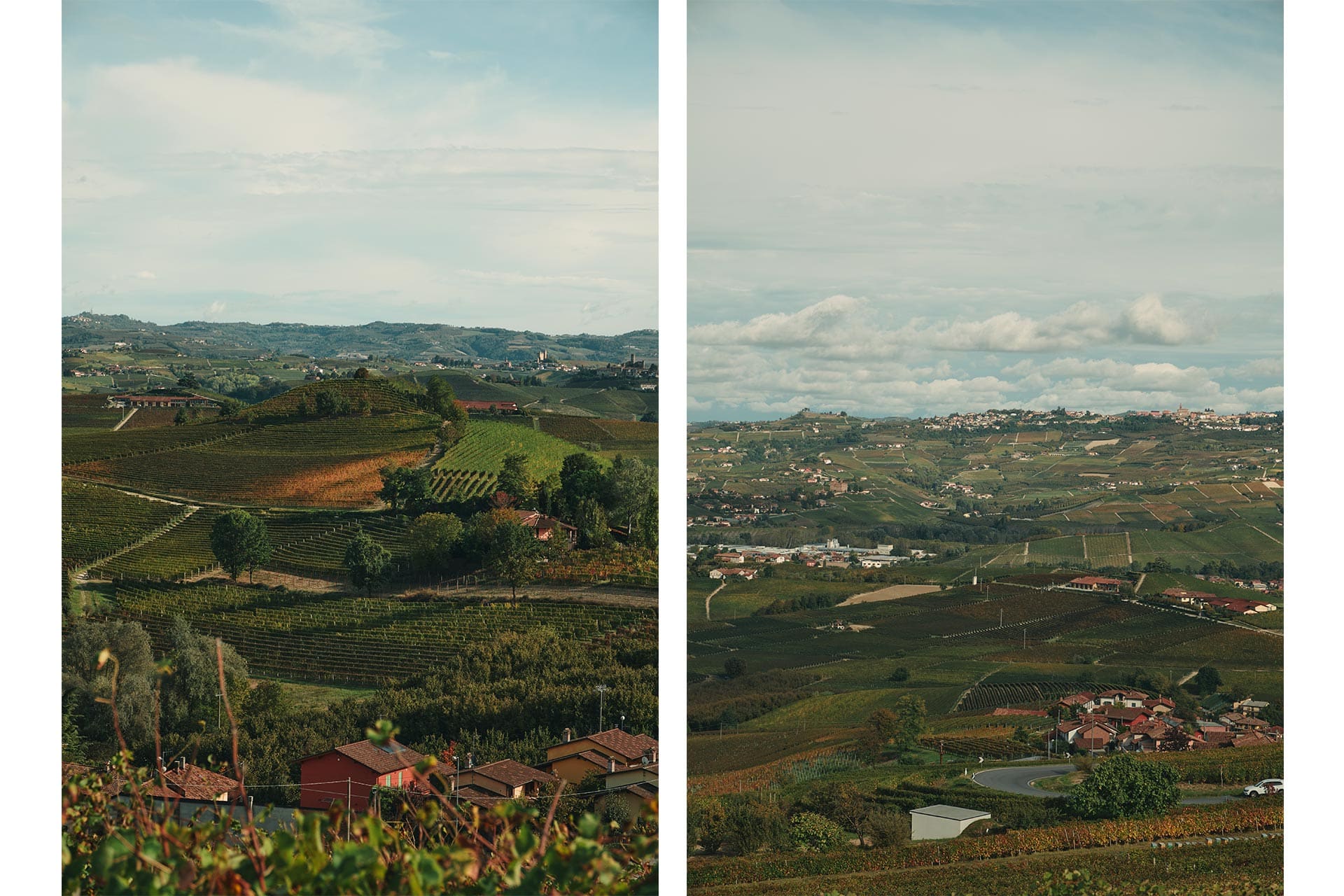 Dark Side of White Truffle