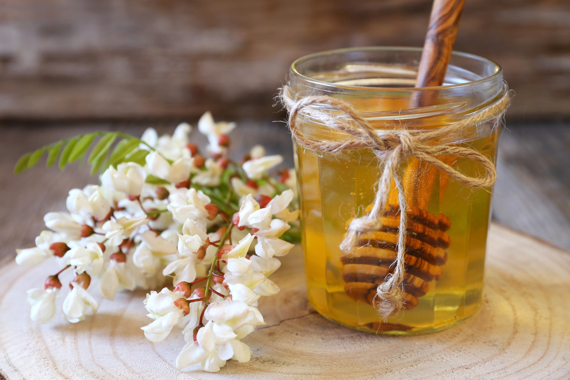 a jar of acacia honey alongside fresh acacia flowers