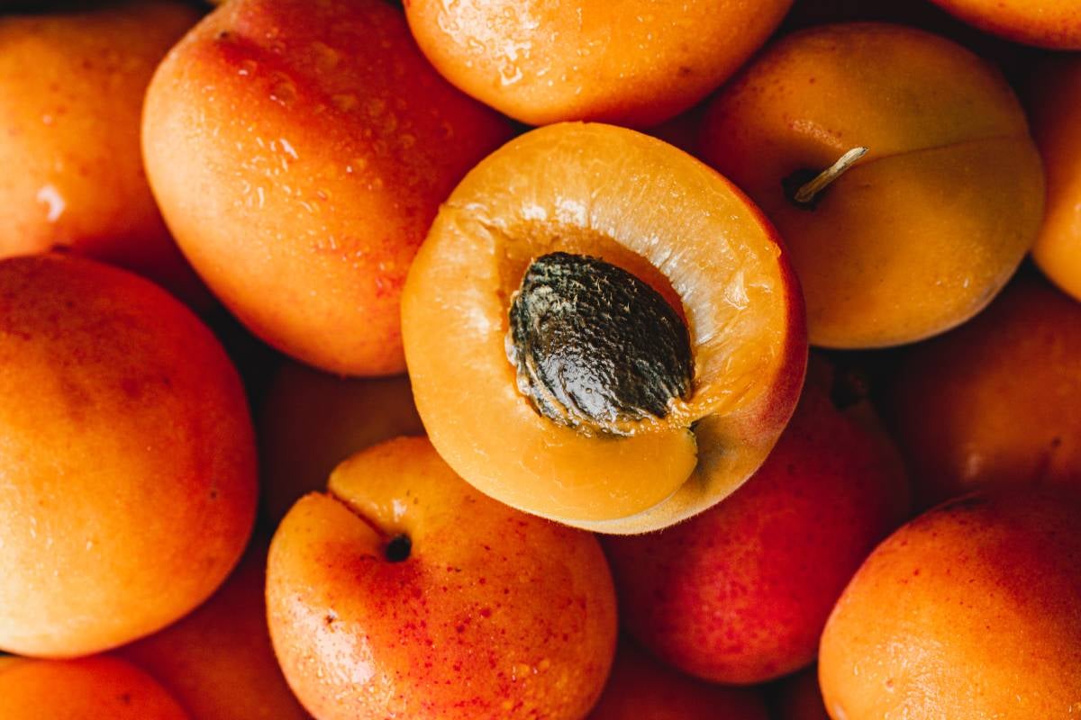 Apricots are delicious and versatile spring fruit