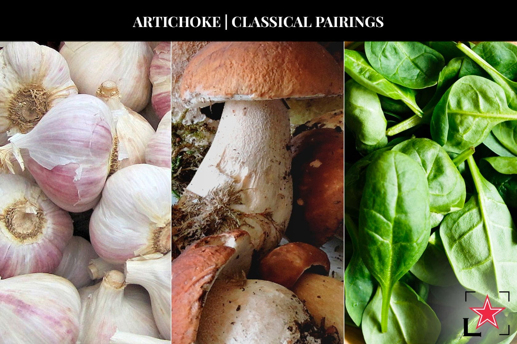 Artichoke classical pairings