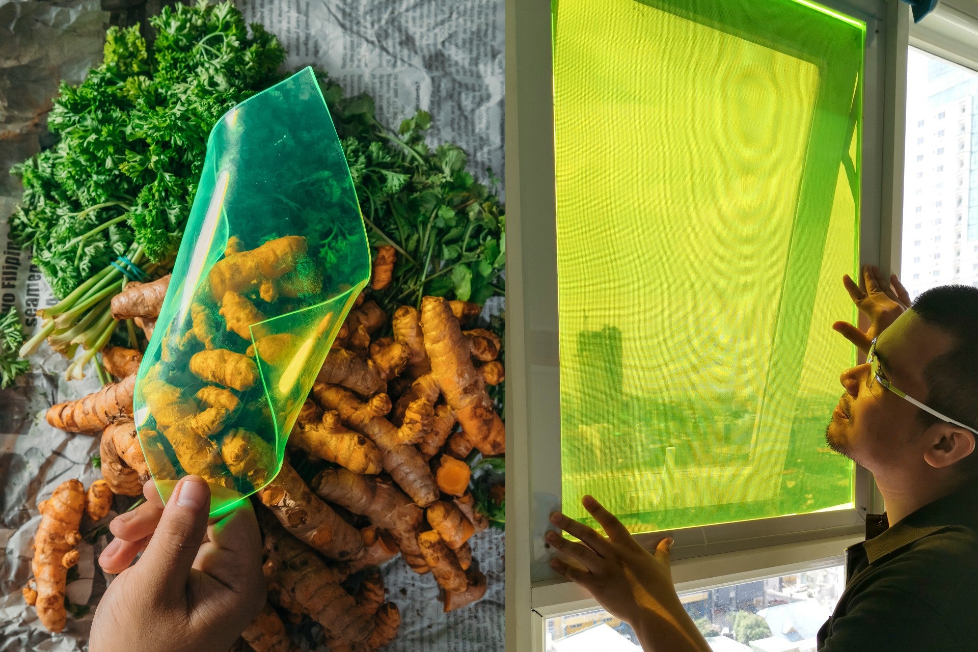 AuREUS solar panel made from food waste