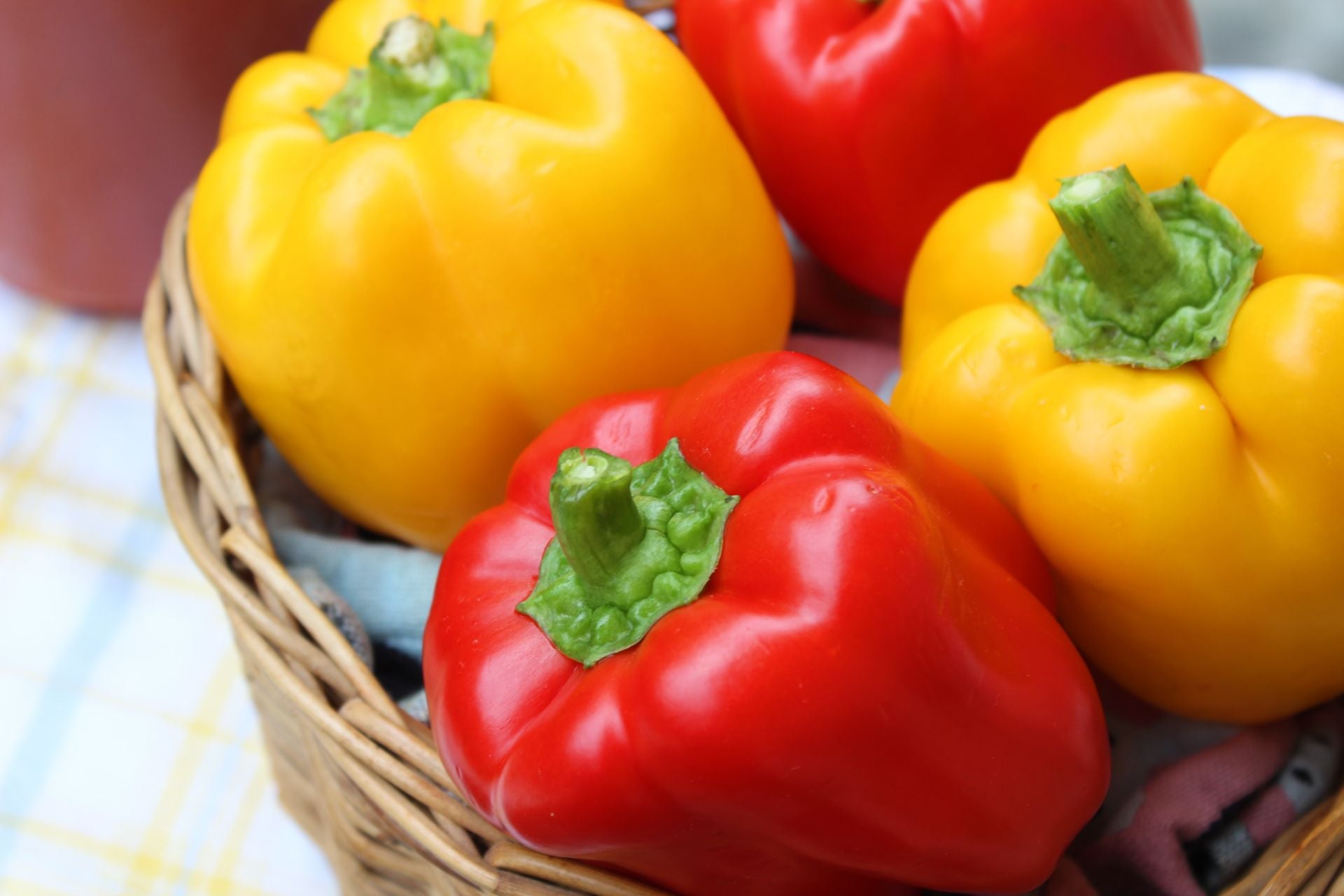 colourul bell peppers in a wicker bowl