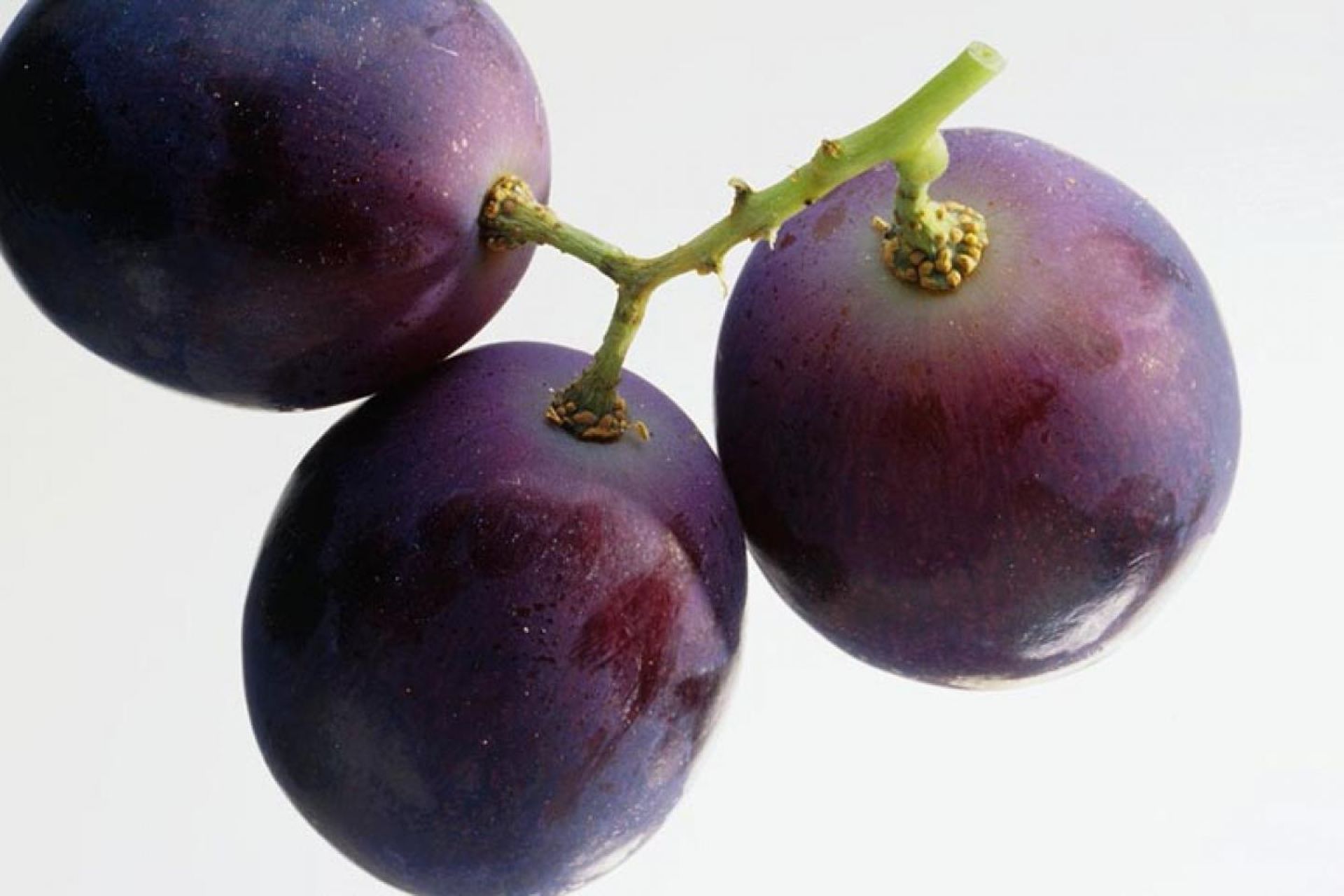 Black Grape