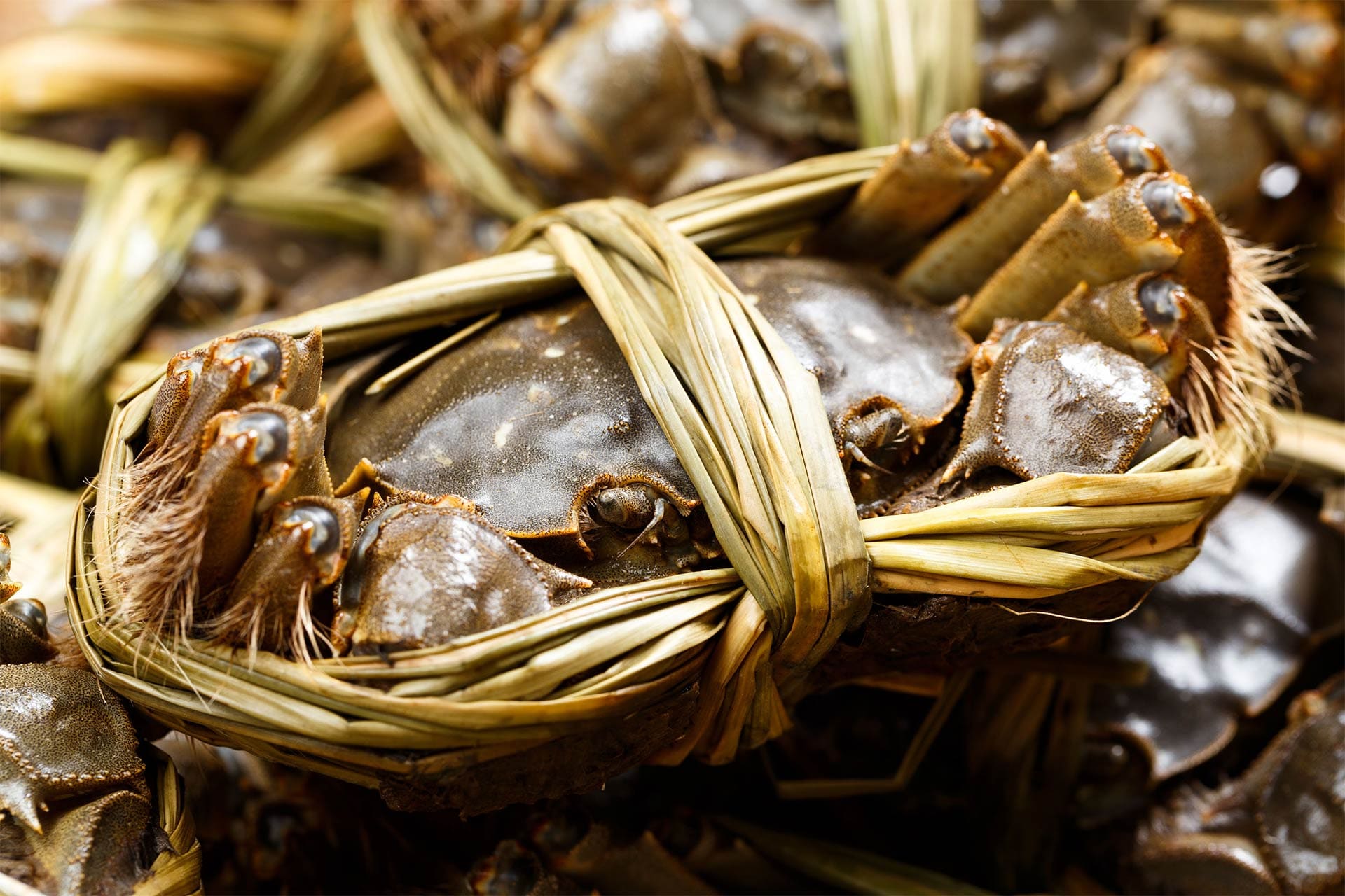 Cooking the Chinese mitten crab