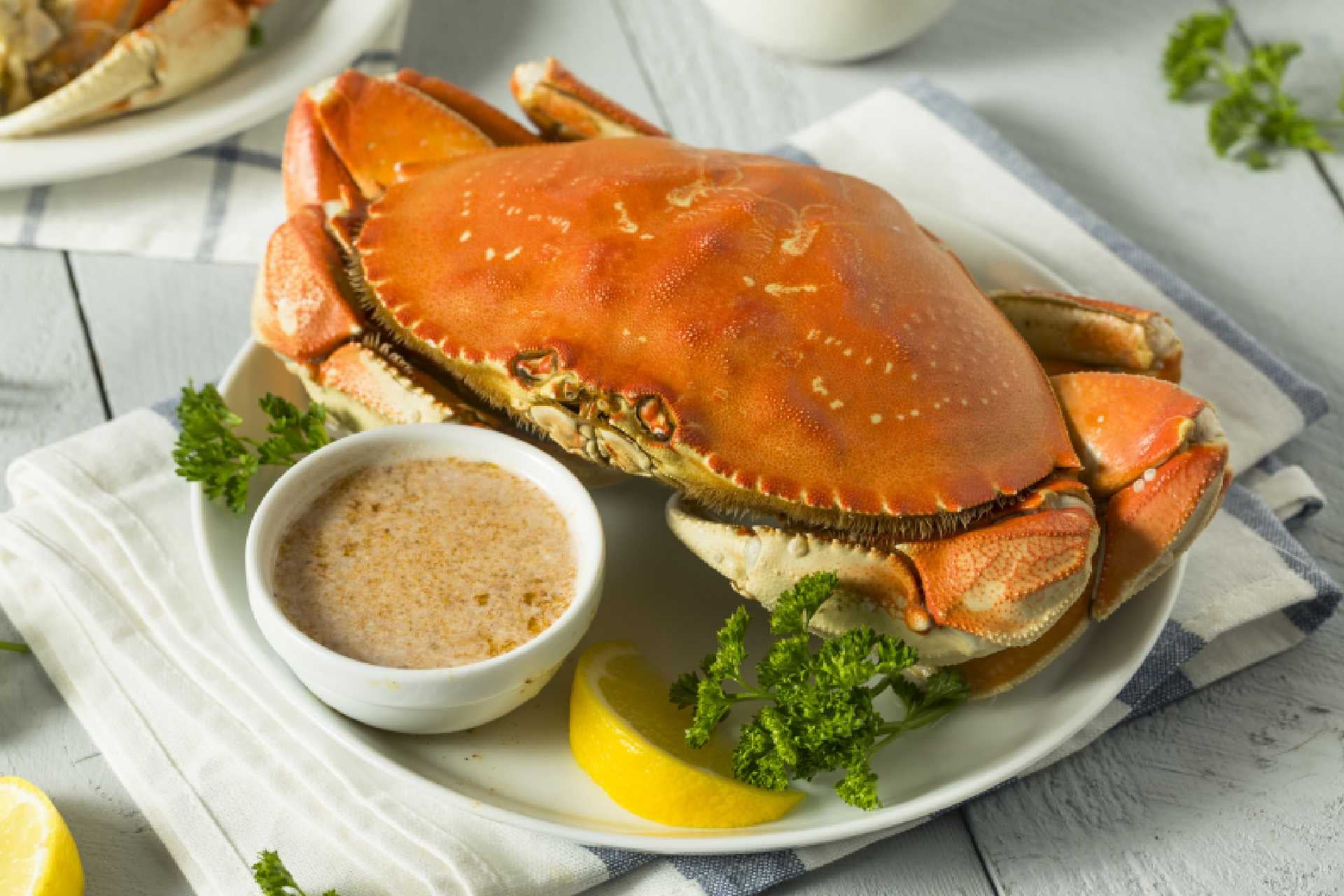 Dungeness Crab