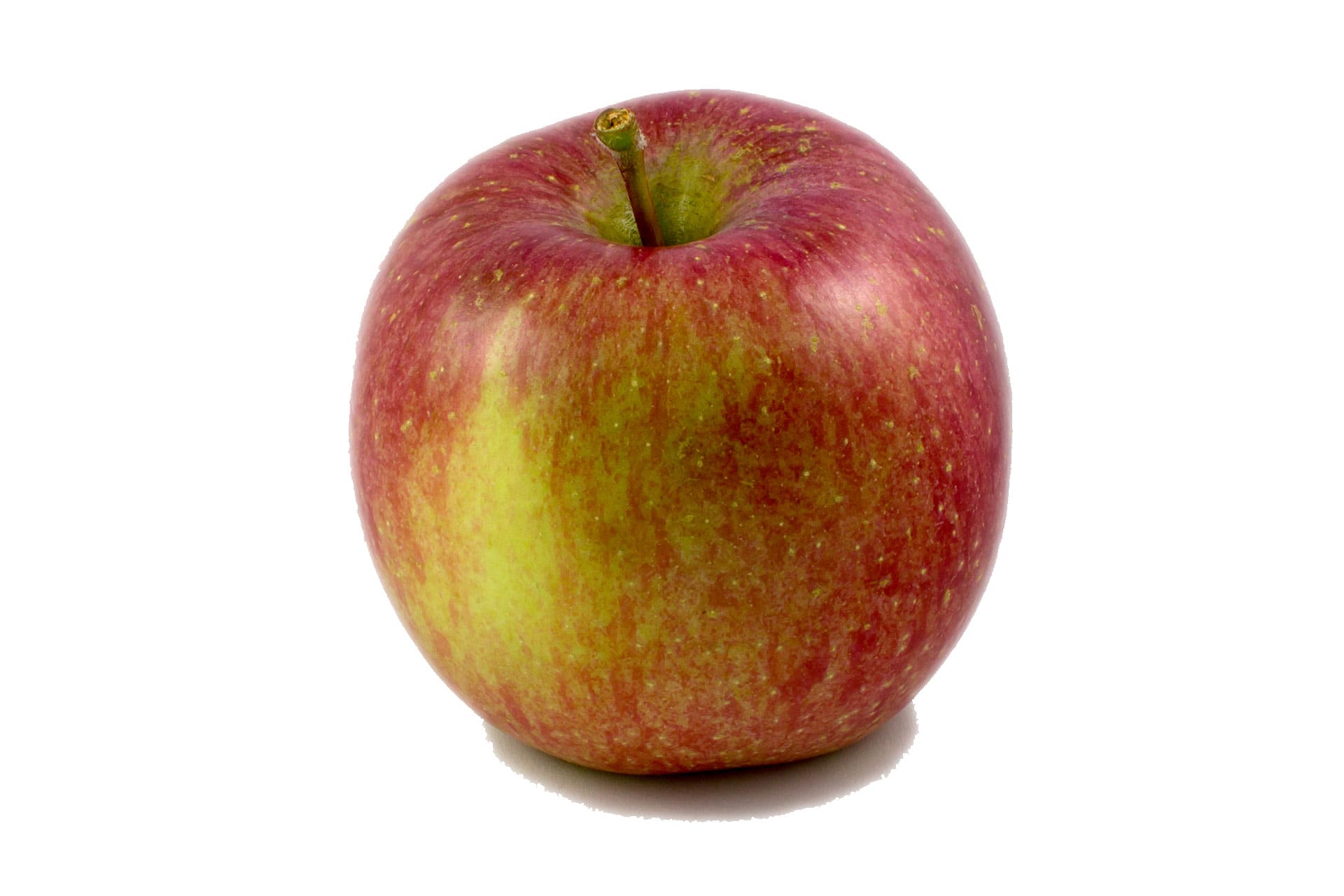 fuji apple