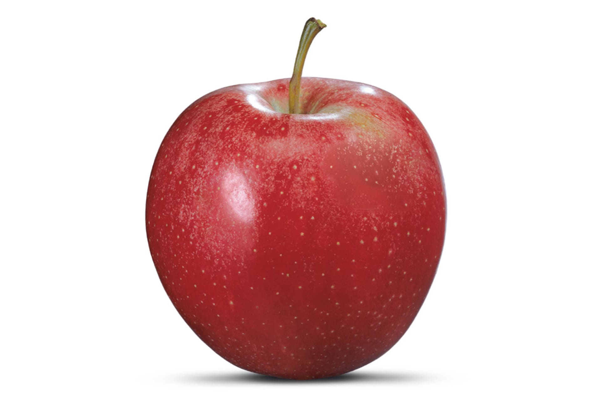 Gala apple