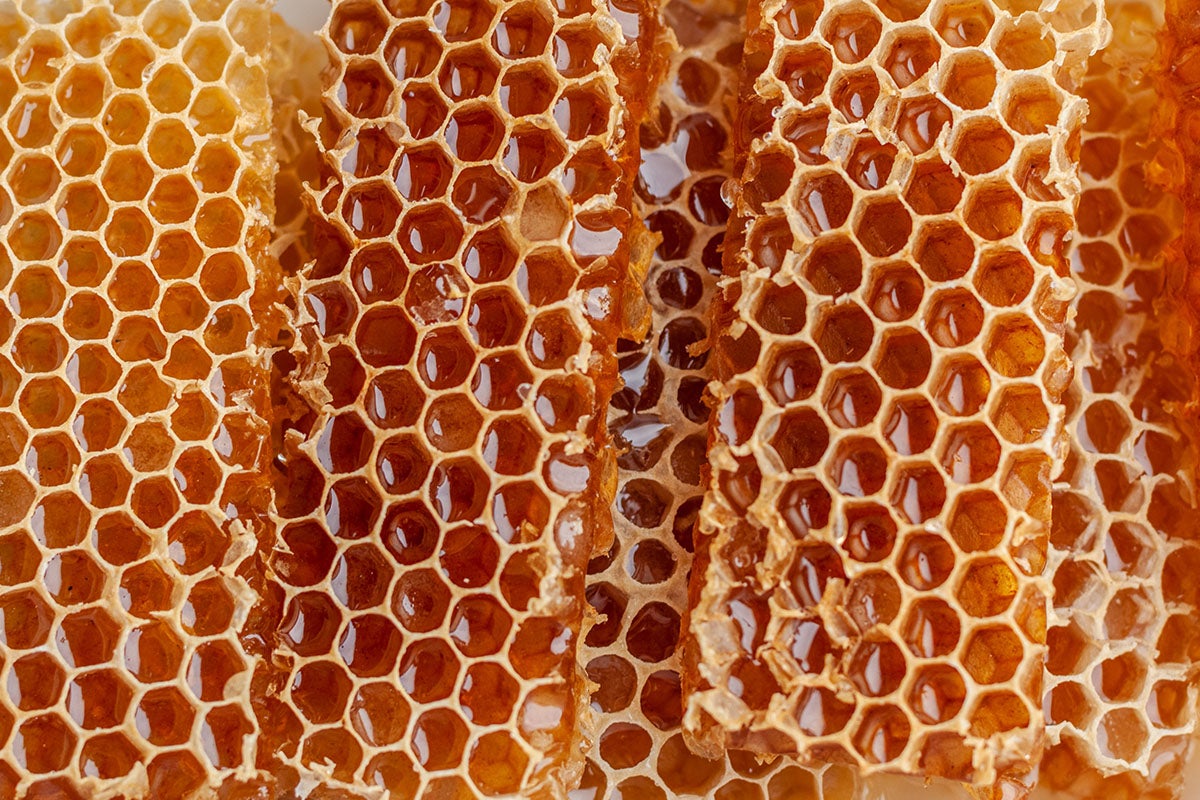 Honeycomb.