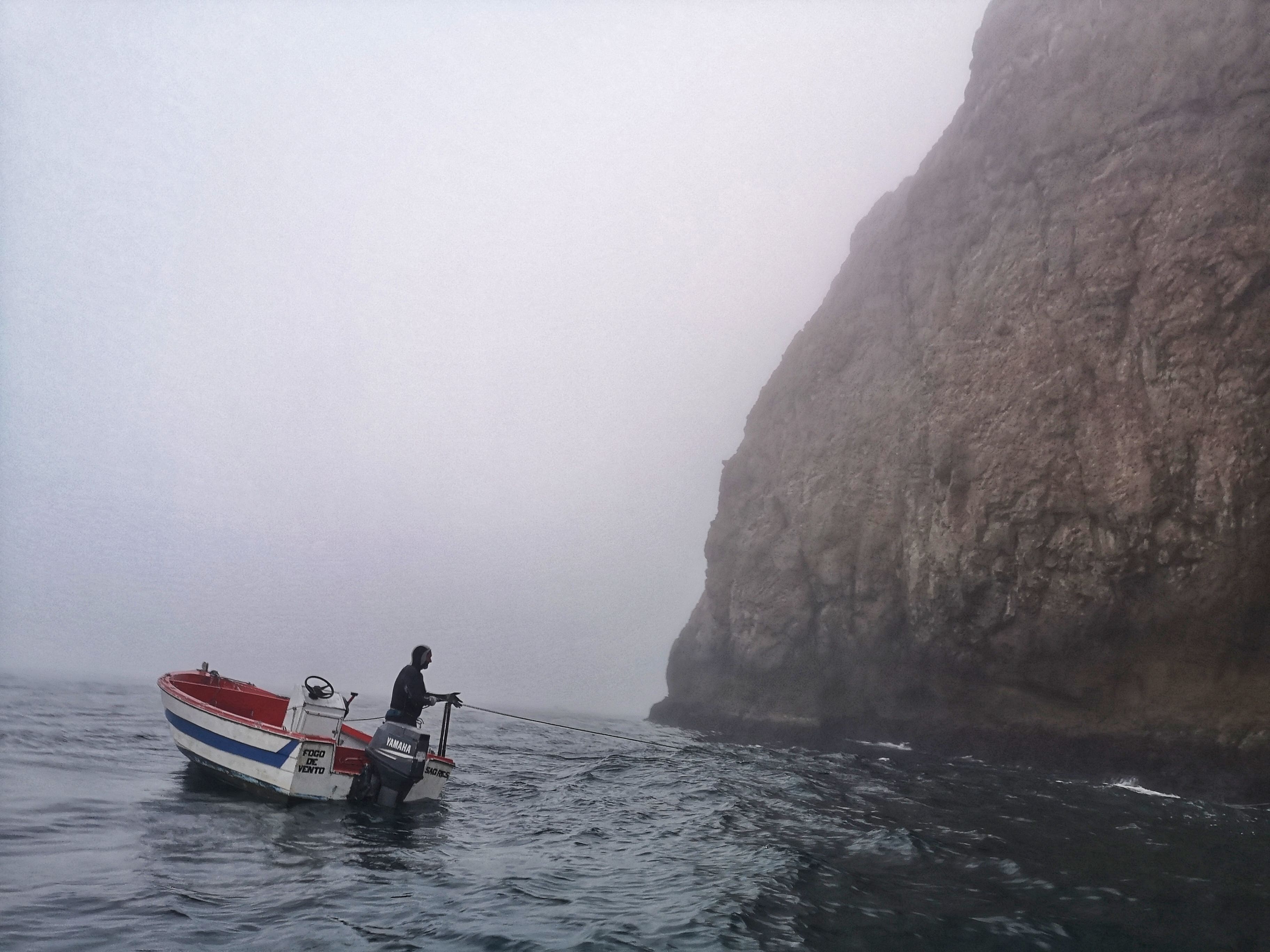 goose-barnacle-fisherman-sea-cliff-rocks-portugal