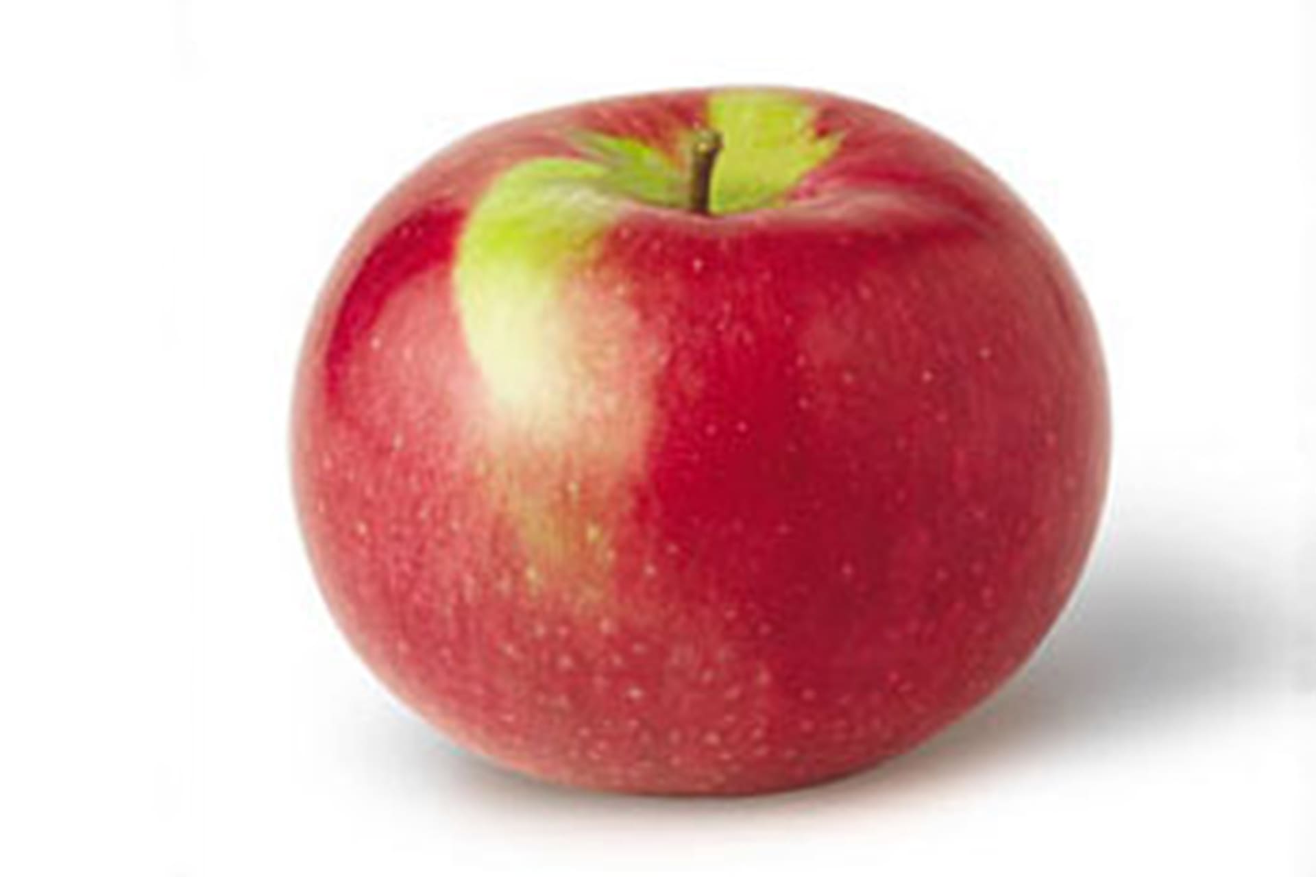 Mcintosh apple