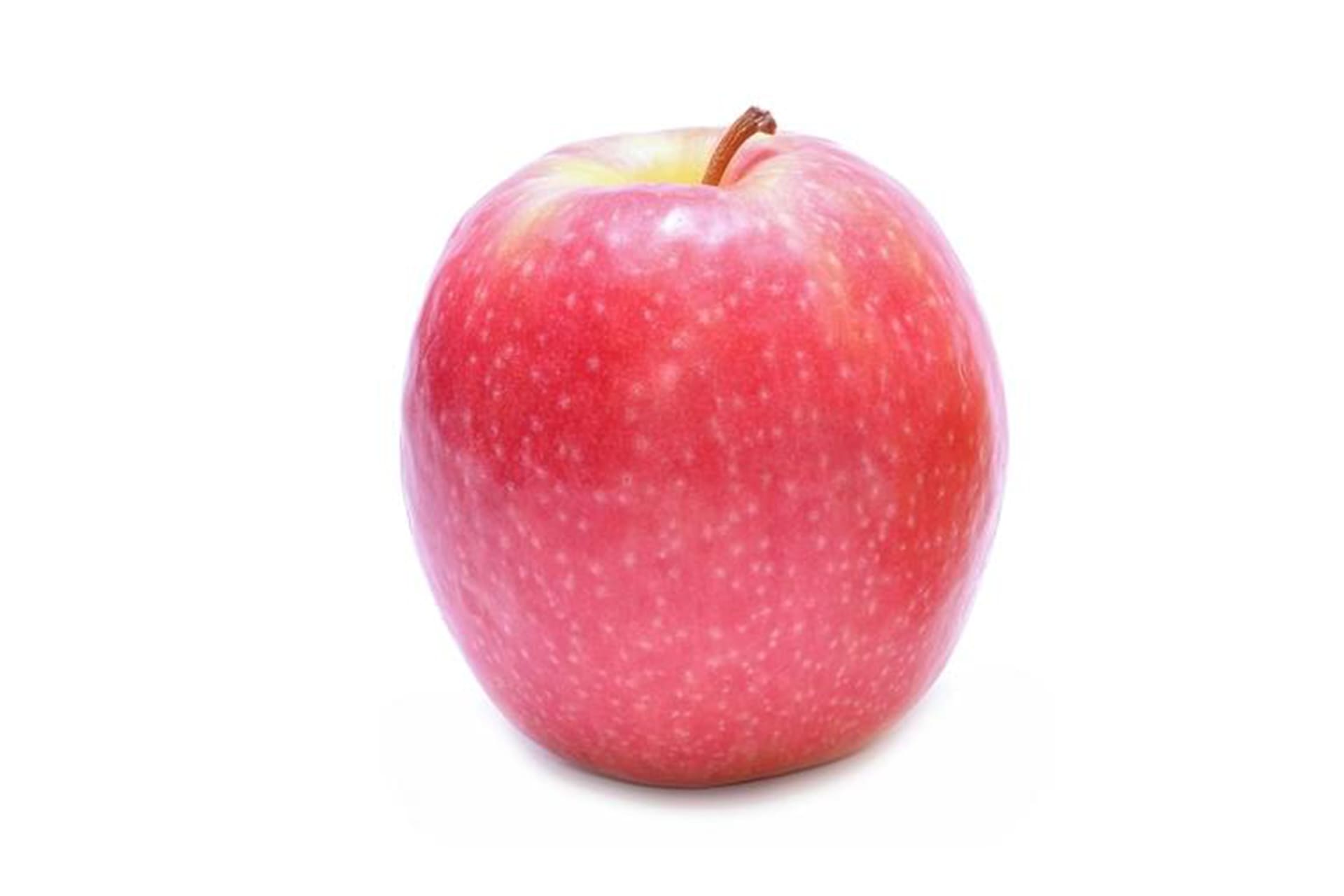 pink lady apple