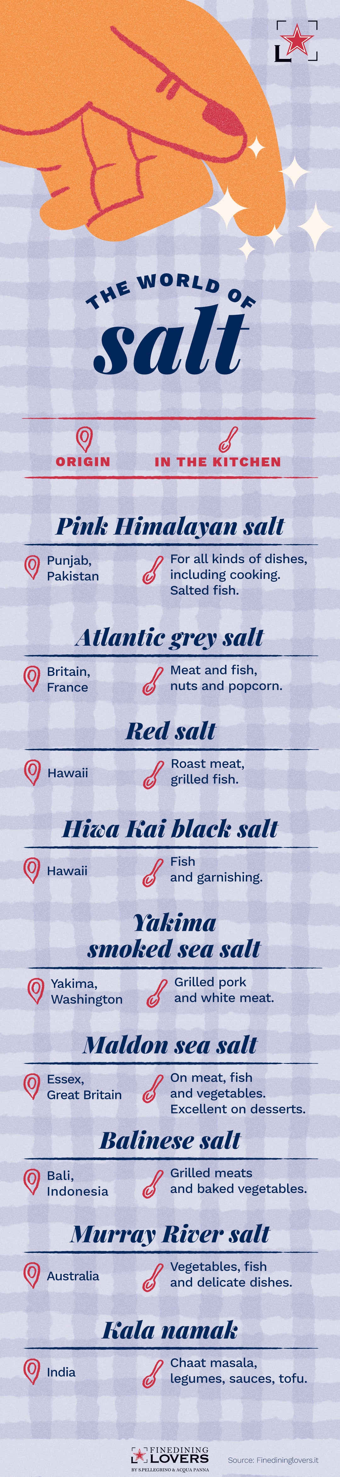 Salt infographic