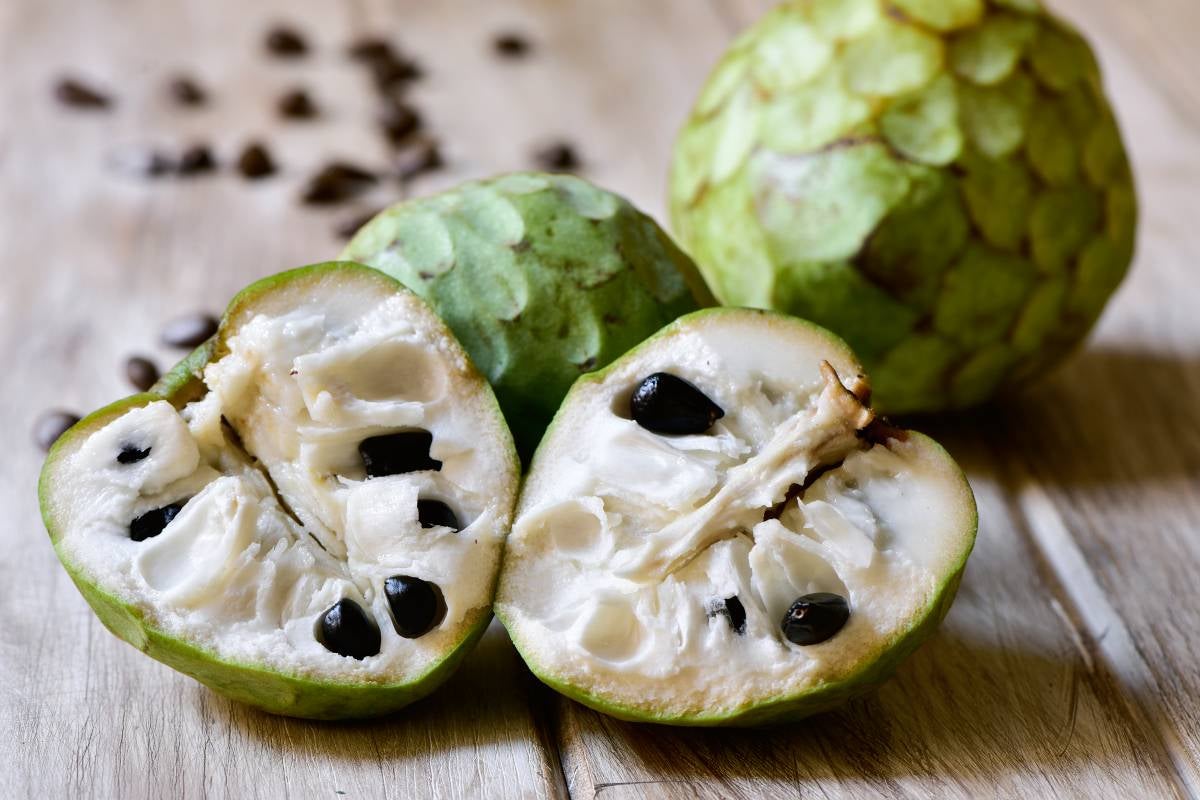 Some Cherimoya fruits that ripen in the spring