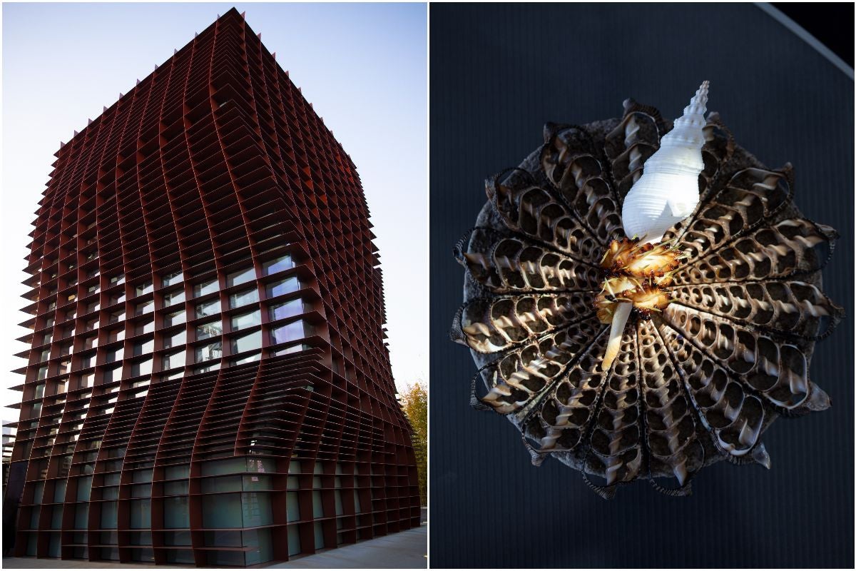 Vespertine and a squid dish.