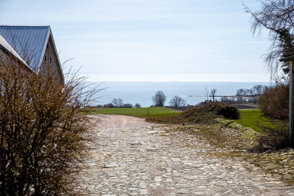 The view from Vyn by Daniel Berlin.