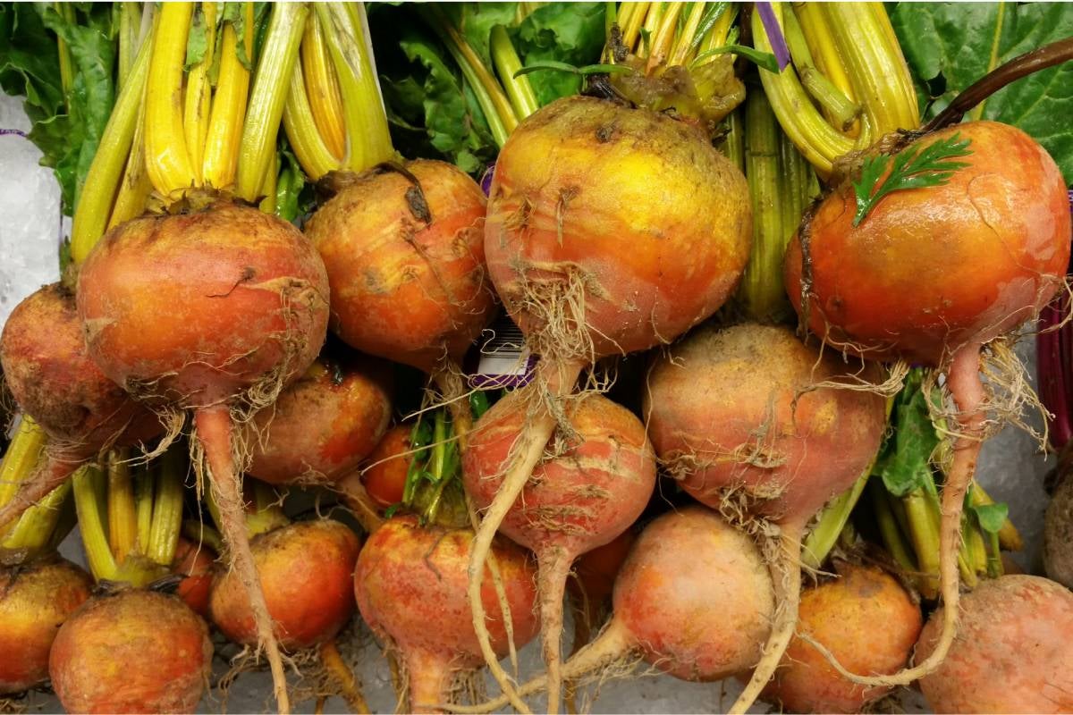 Market stall full of Yellow beetroots or golden beets