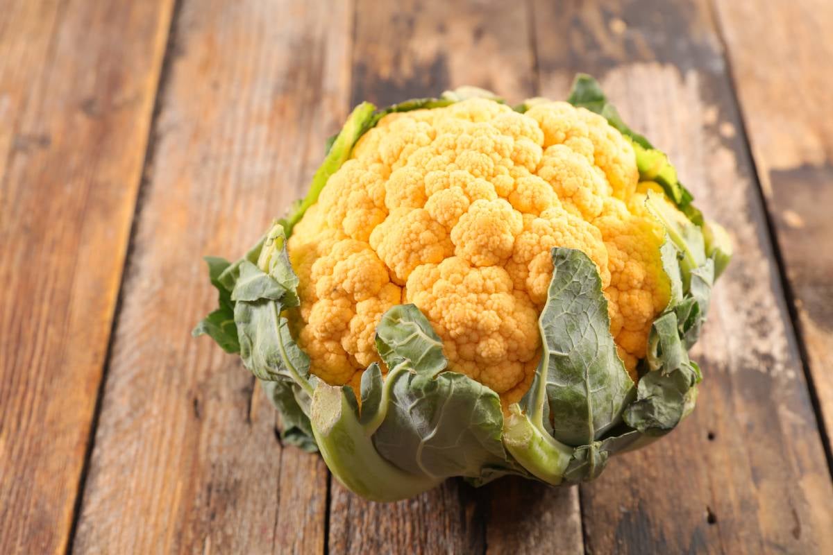 Single Yellow cauliflower on the table, try to add it to your diet