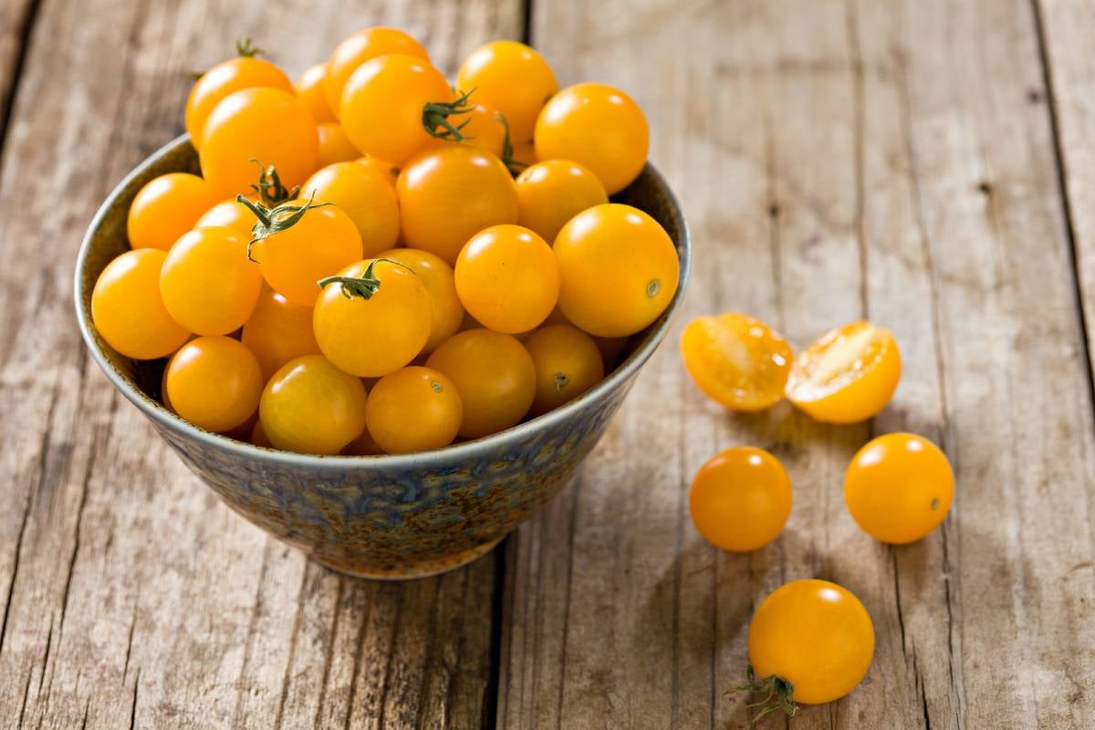 Bowl of small Sungold variety of Yellow cherry tomatoes