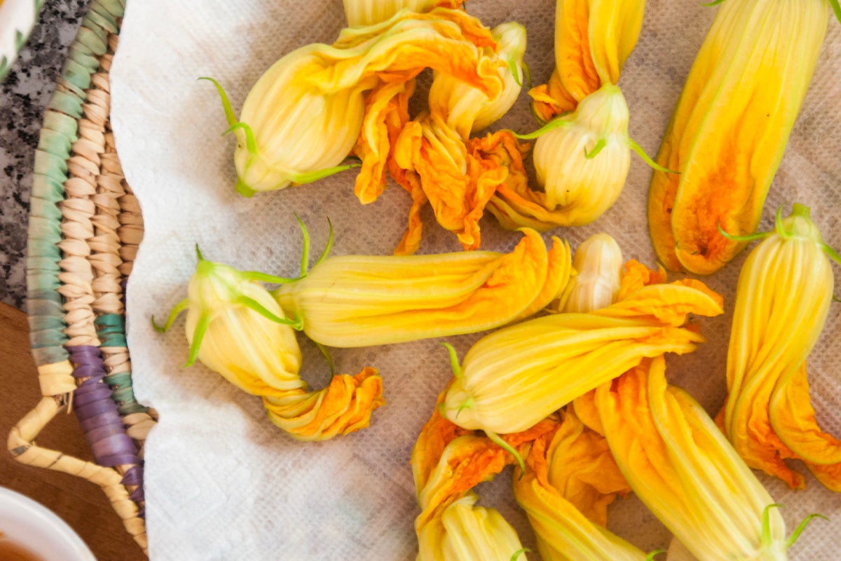 Zucchini flowers.