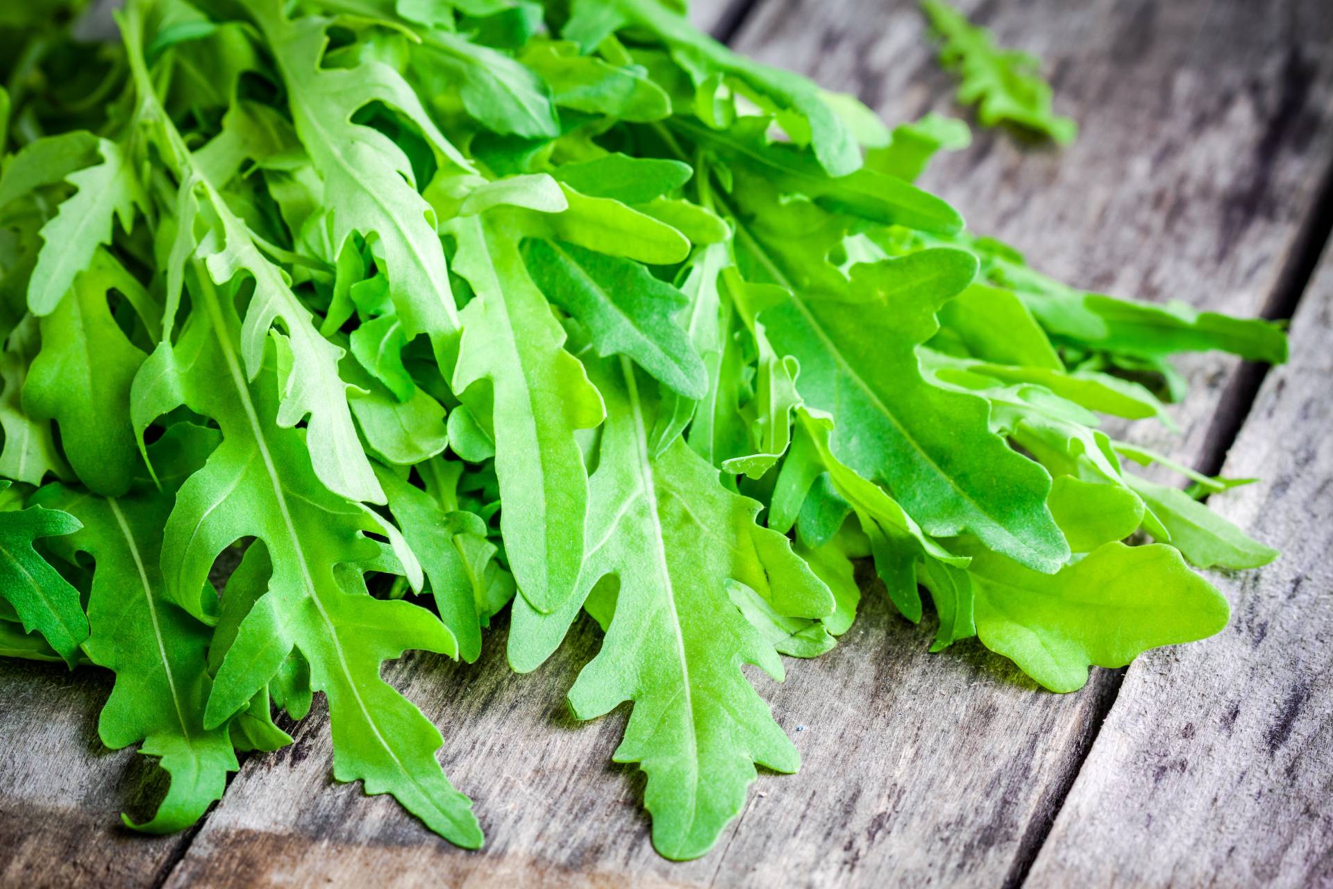 arugula-salad-nutrition