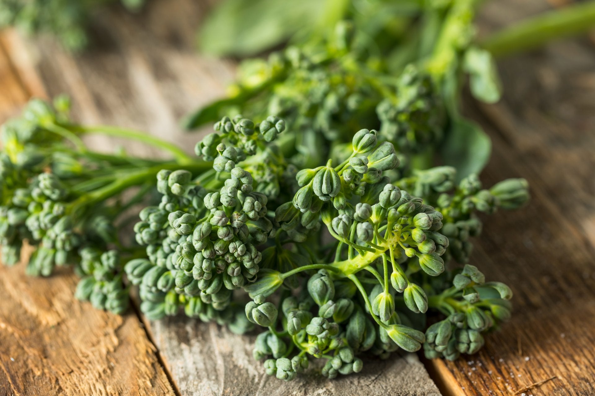 broccolini-health-benefits