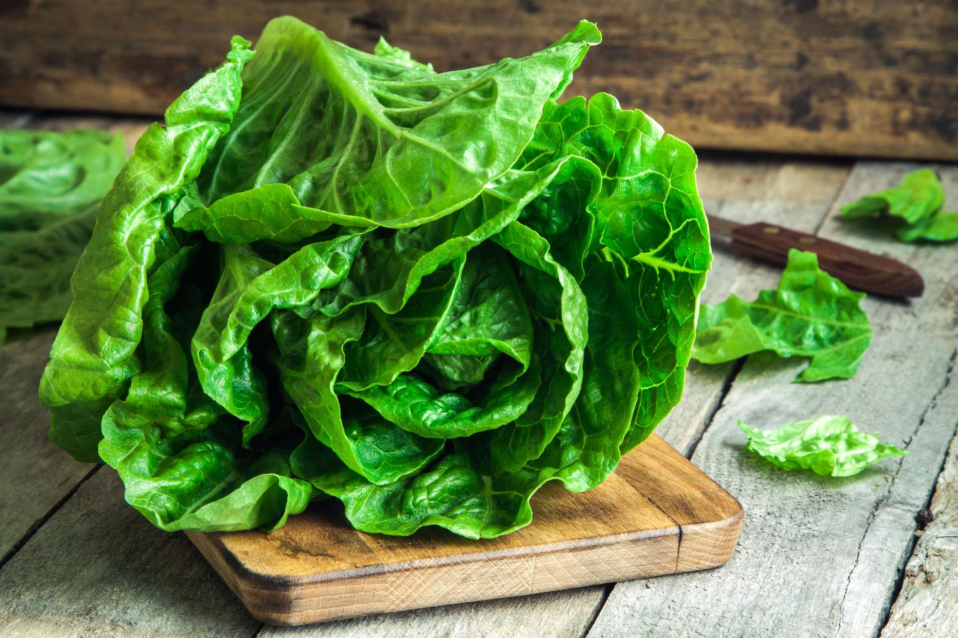 butter-lettuce-health-benefits