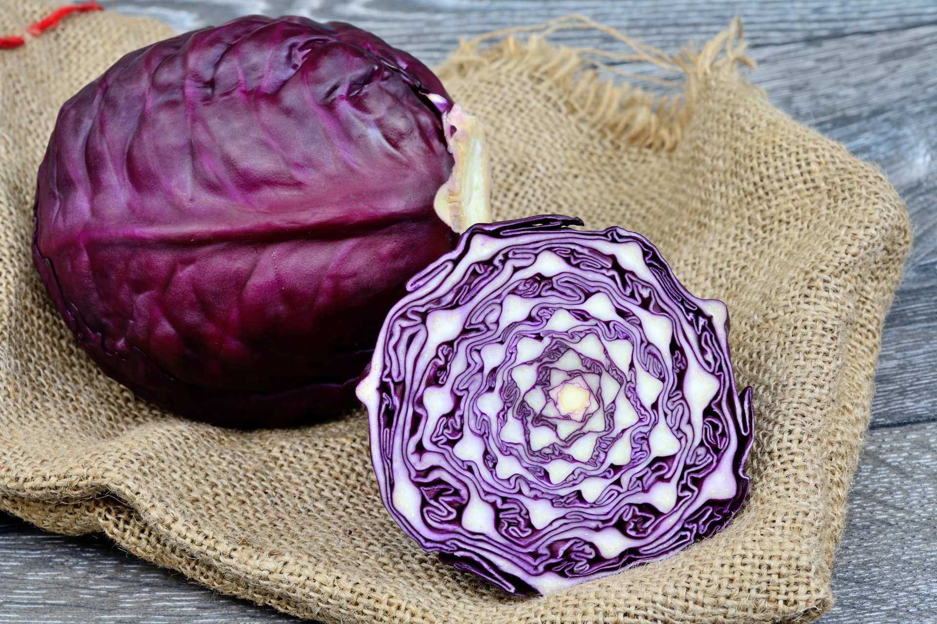cabbage-varieties-red-cabbage