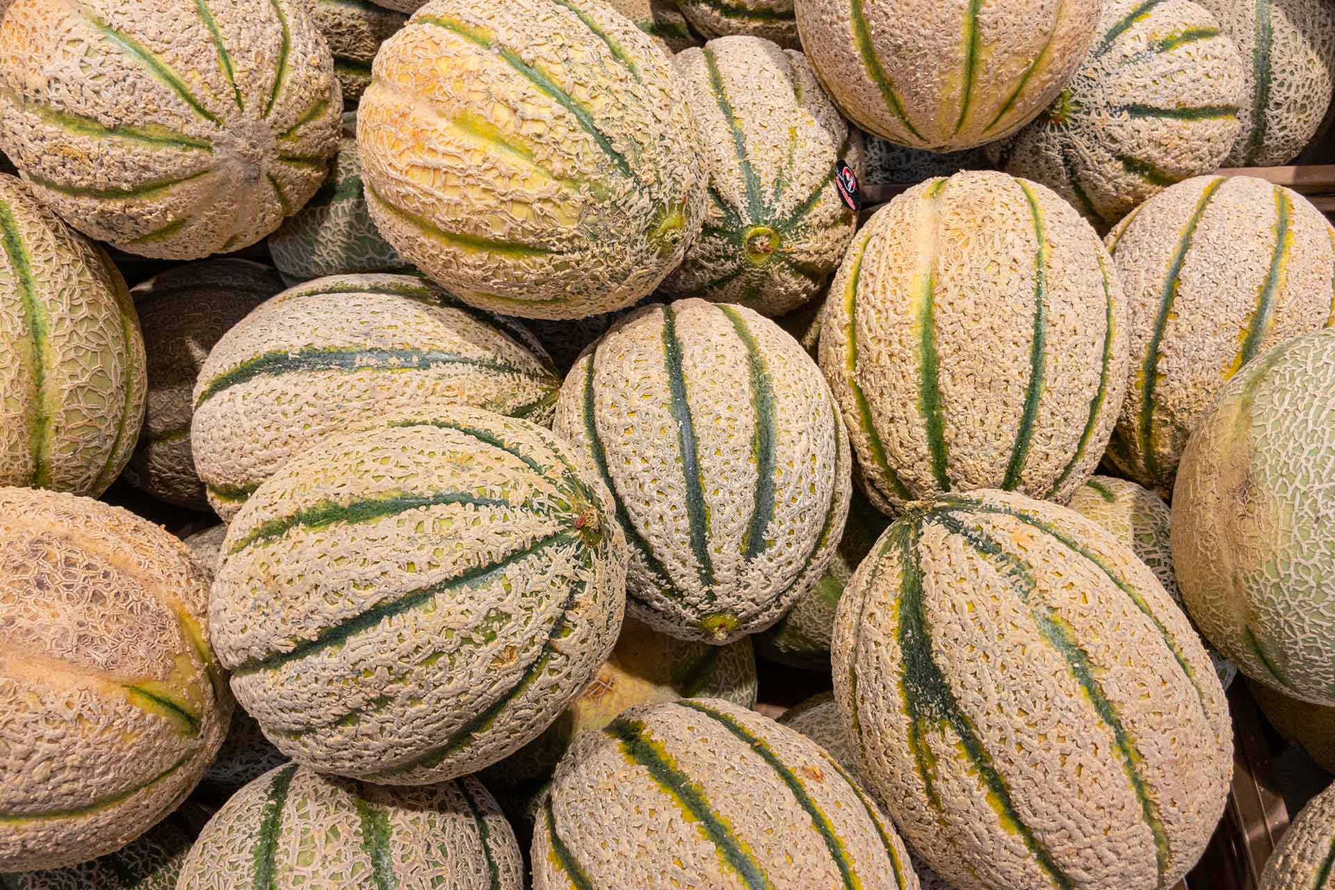 Cantalupes Melon