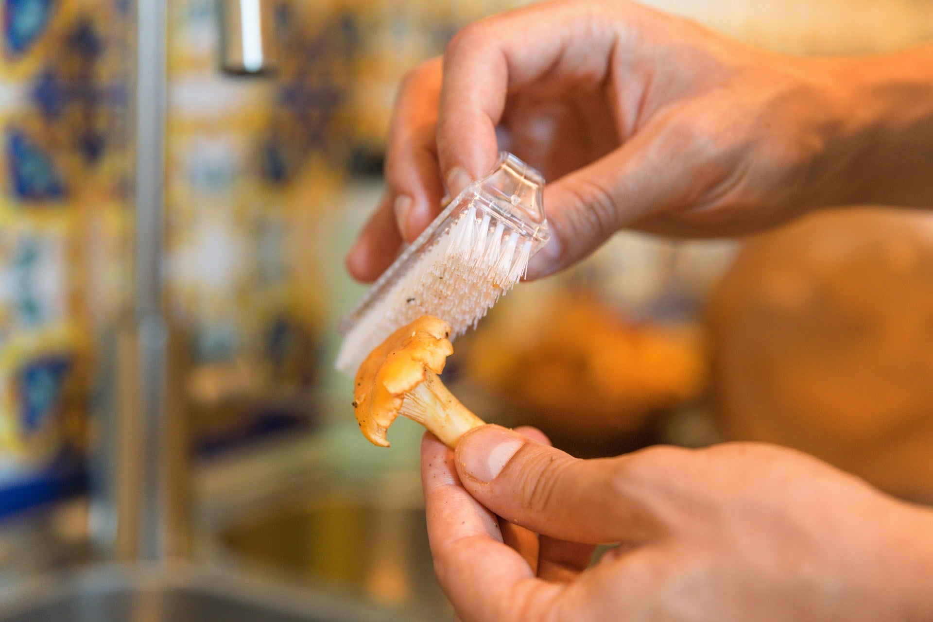 chanterelle-mushrooms-how-to-clean