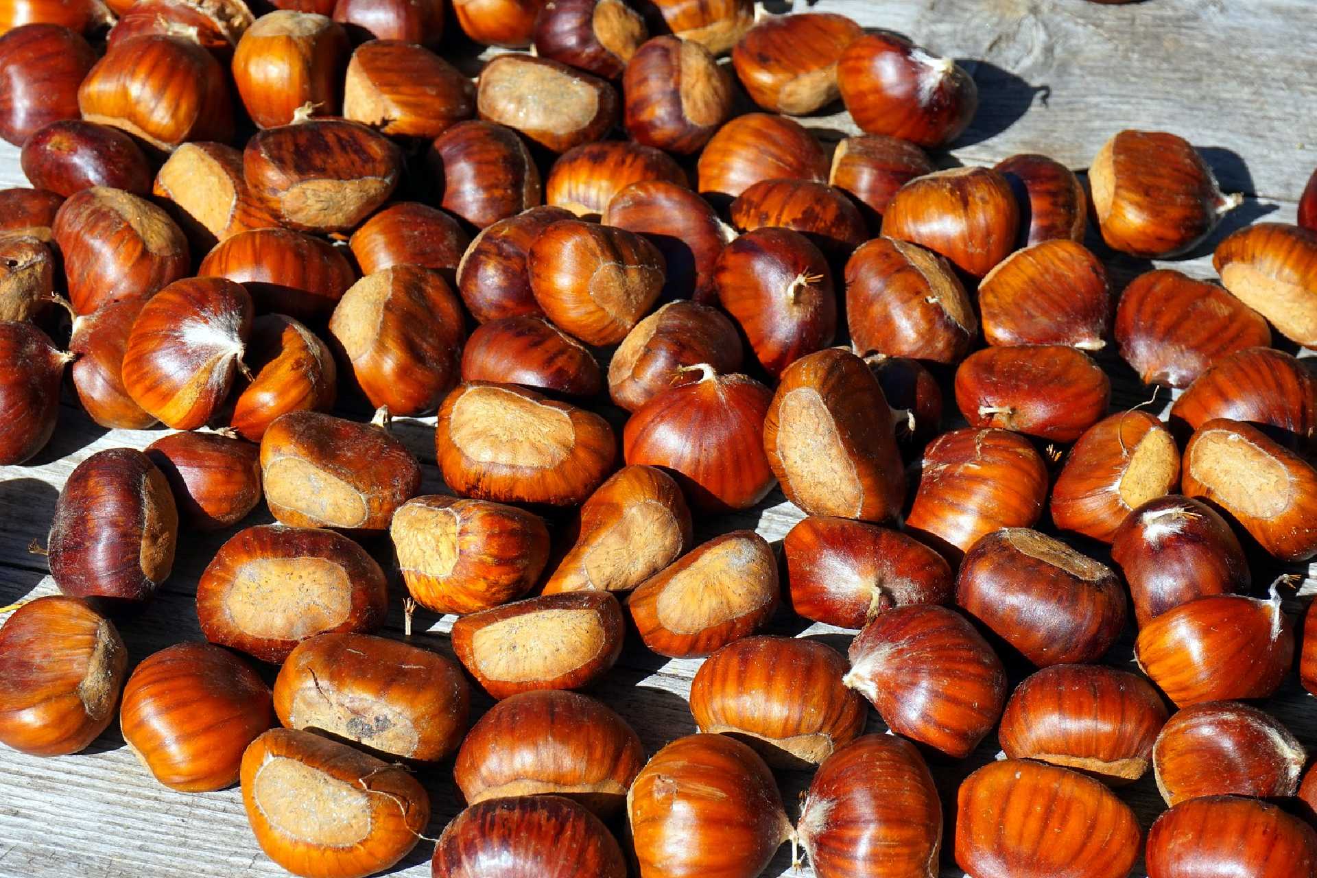 chestnuts - pixabay