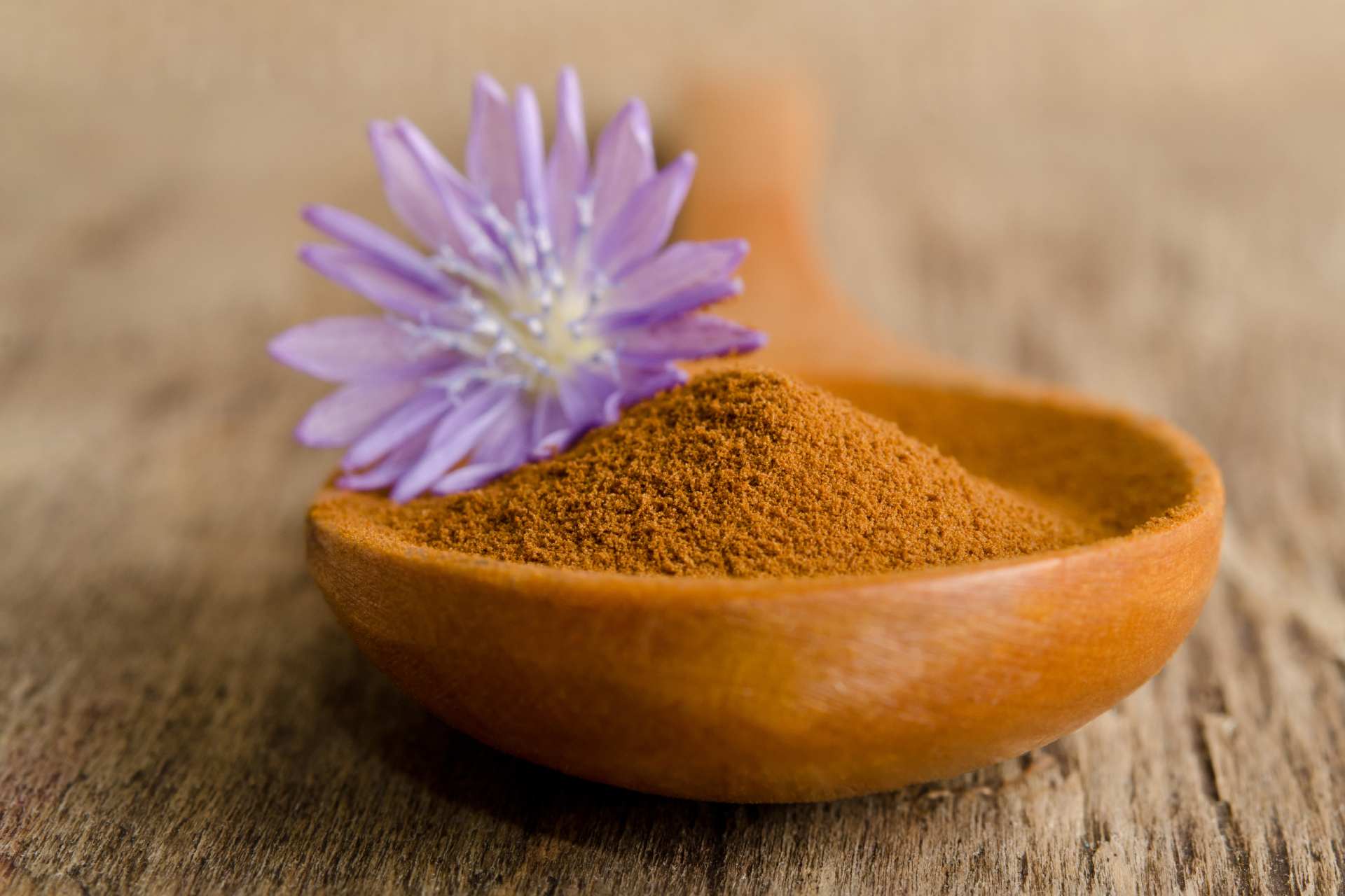 chicory coffee powder ©iStock