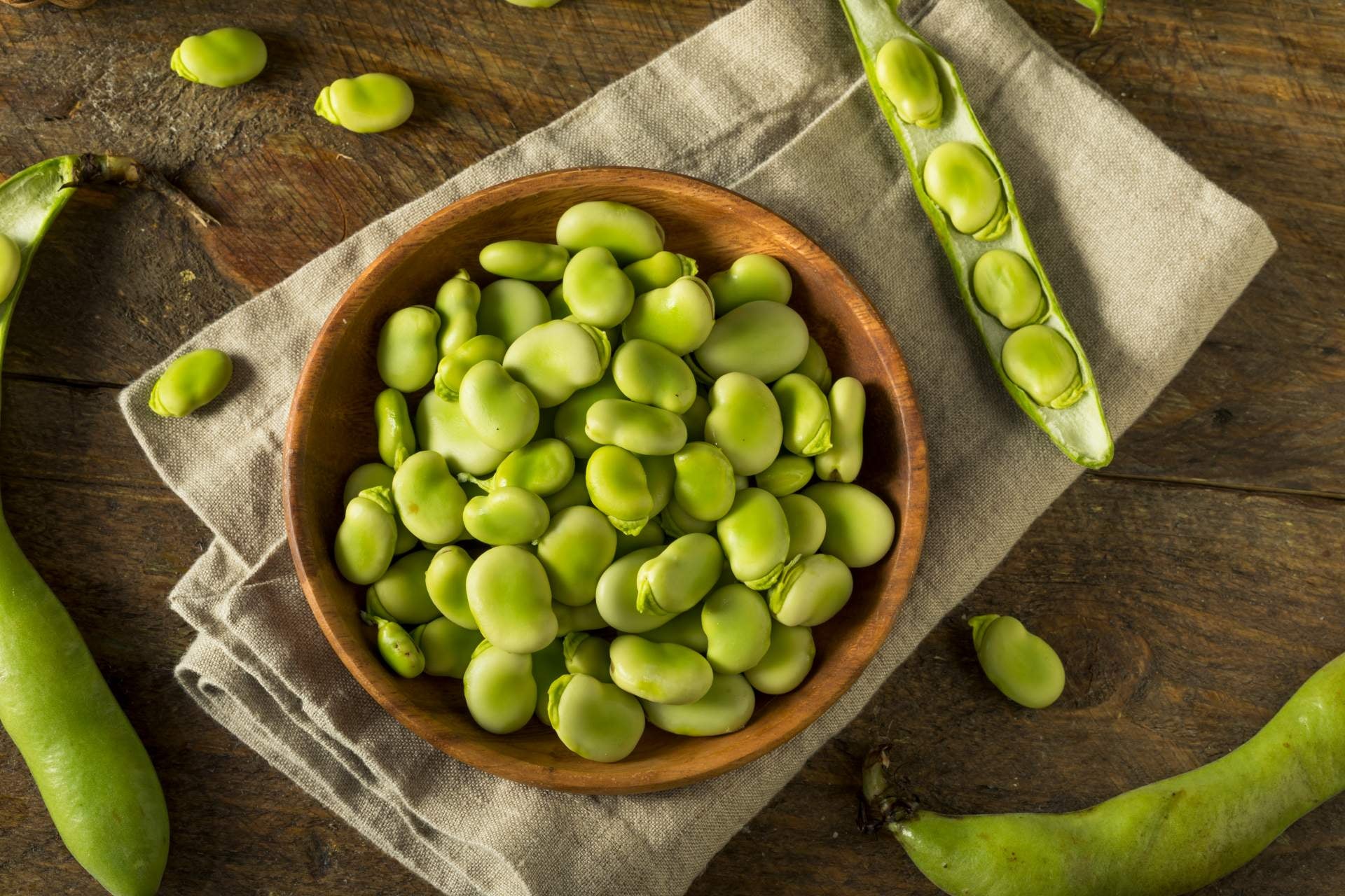 fava-beans-benefits