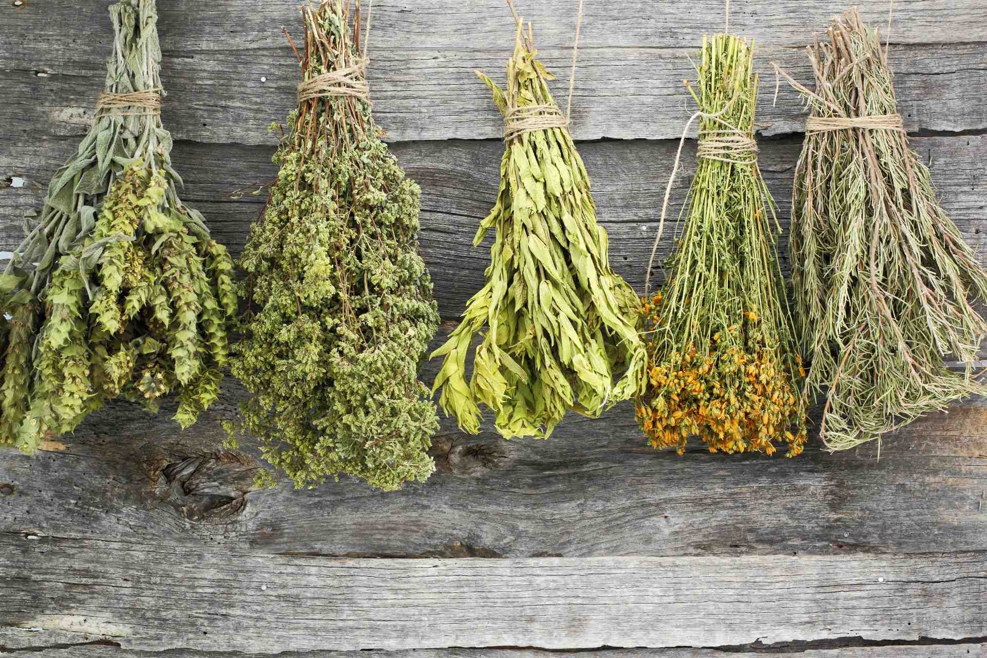 fresh-vs-dried-herbs-dried-pros-cons