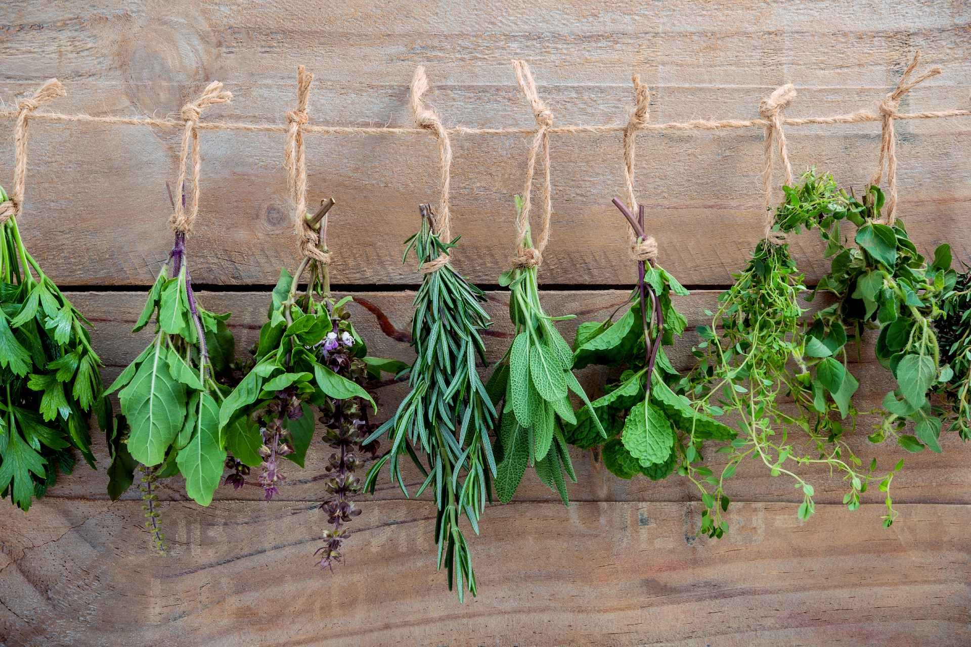 fresh-vs-dried-herbs-fresh-pros-cons