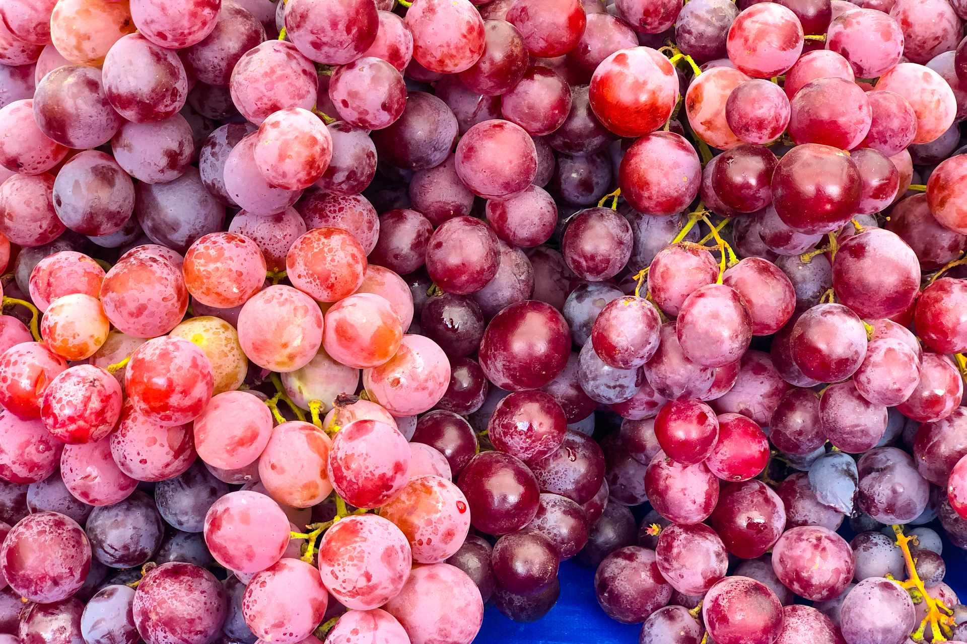 grapes-varieties-red-globe