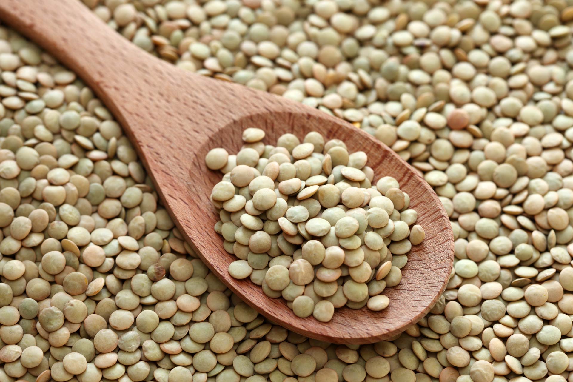 Green lentils