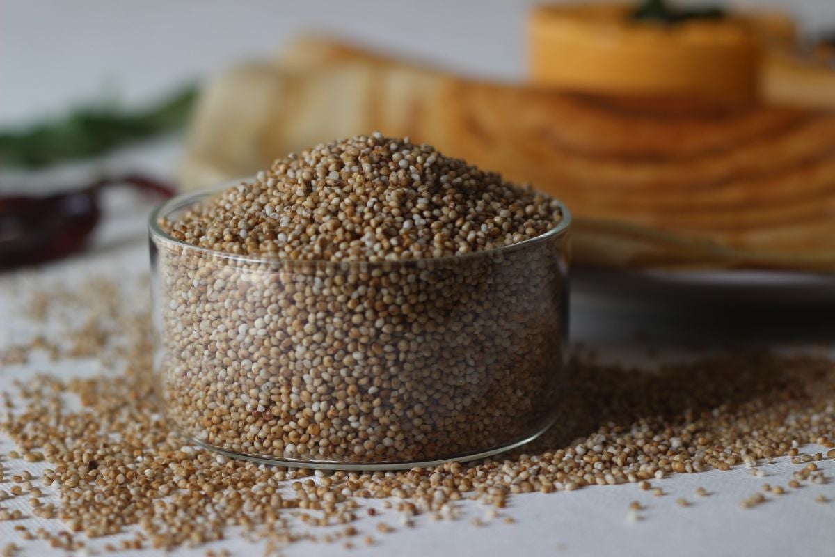 Bowl of Kodo millet seeds, a kind of millet originated in West Africa