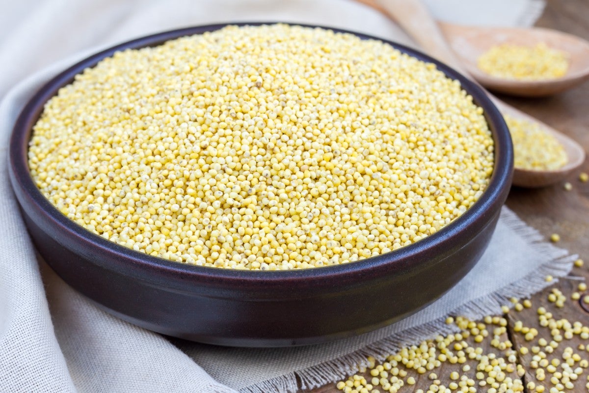 Bowl with seeds of Little millet
