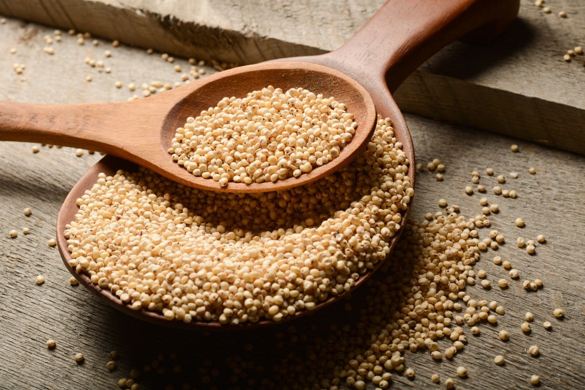 Bowl of seeds of Sorghum millet also known as jowar in India