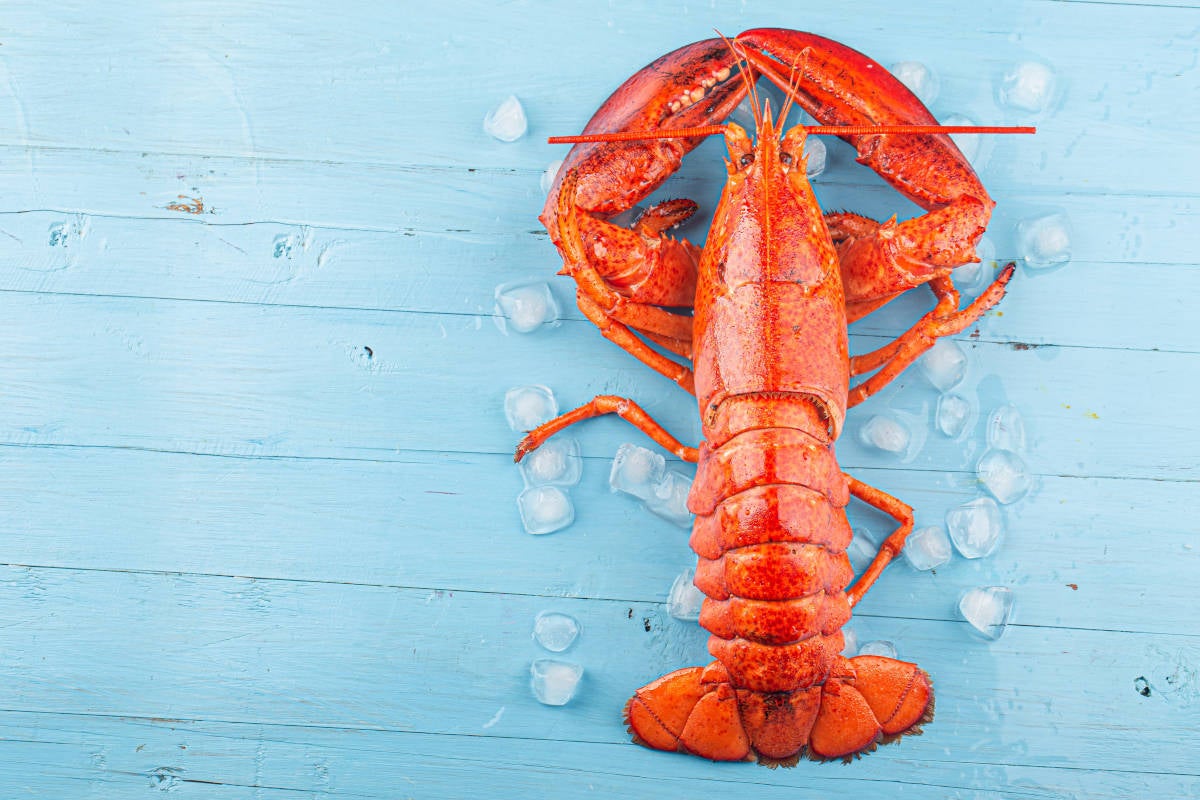 lobster - Fine Dining Lovers