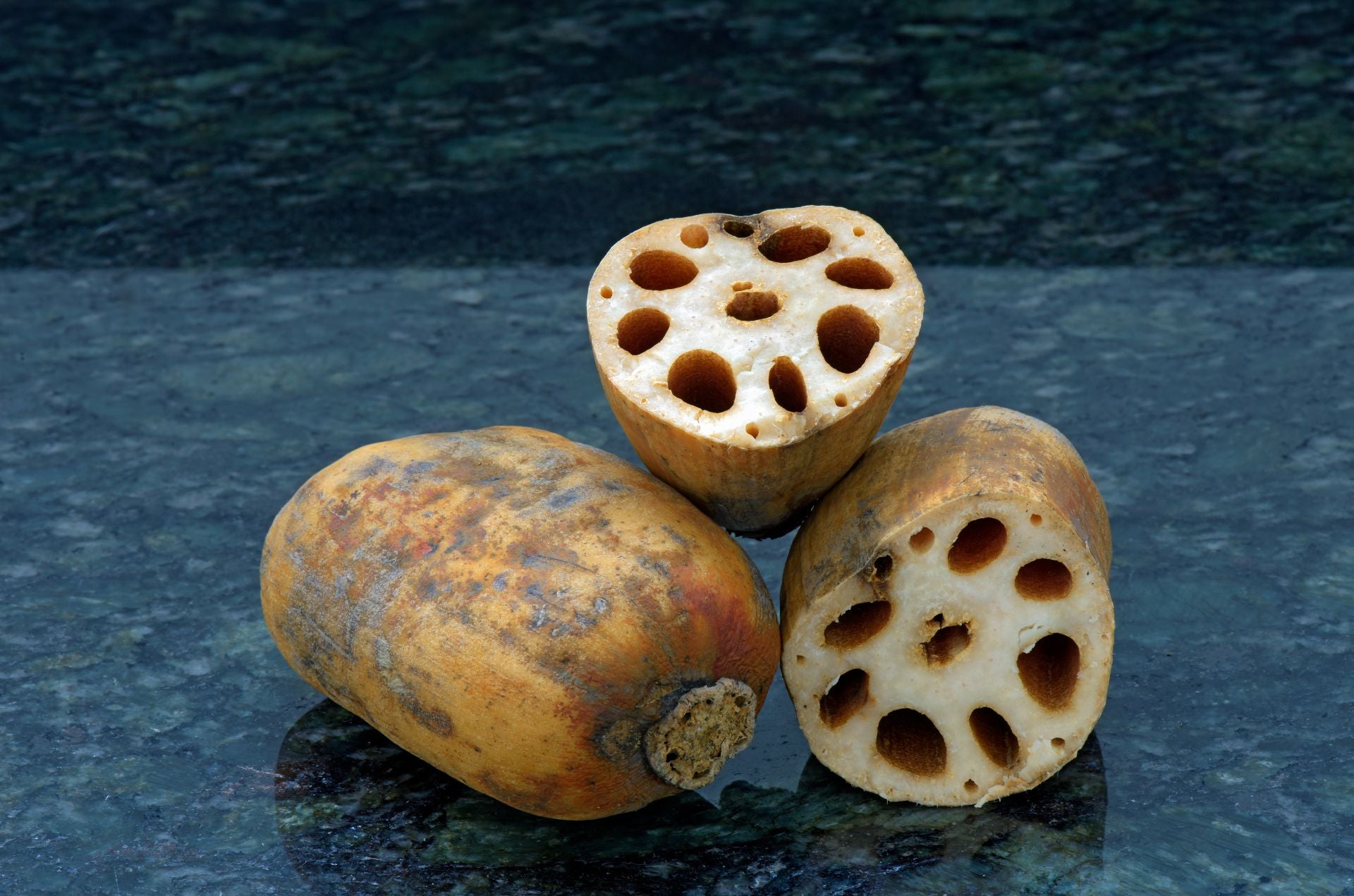 lotus-root-what-is