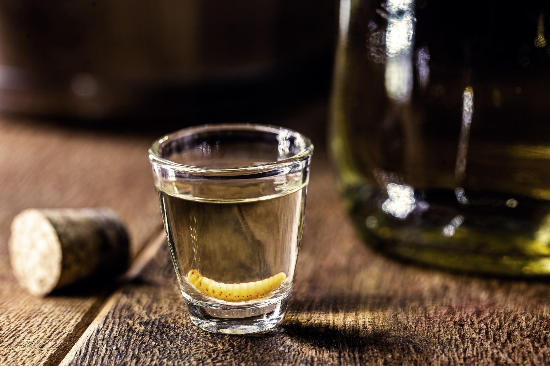 mezcal-vs-tequila-what-is-mezcal