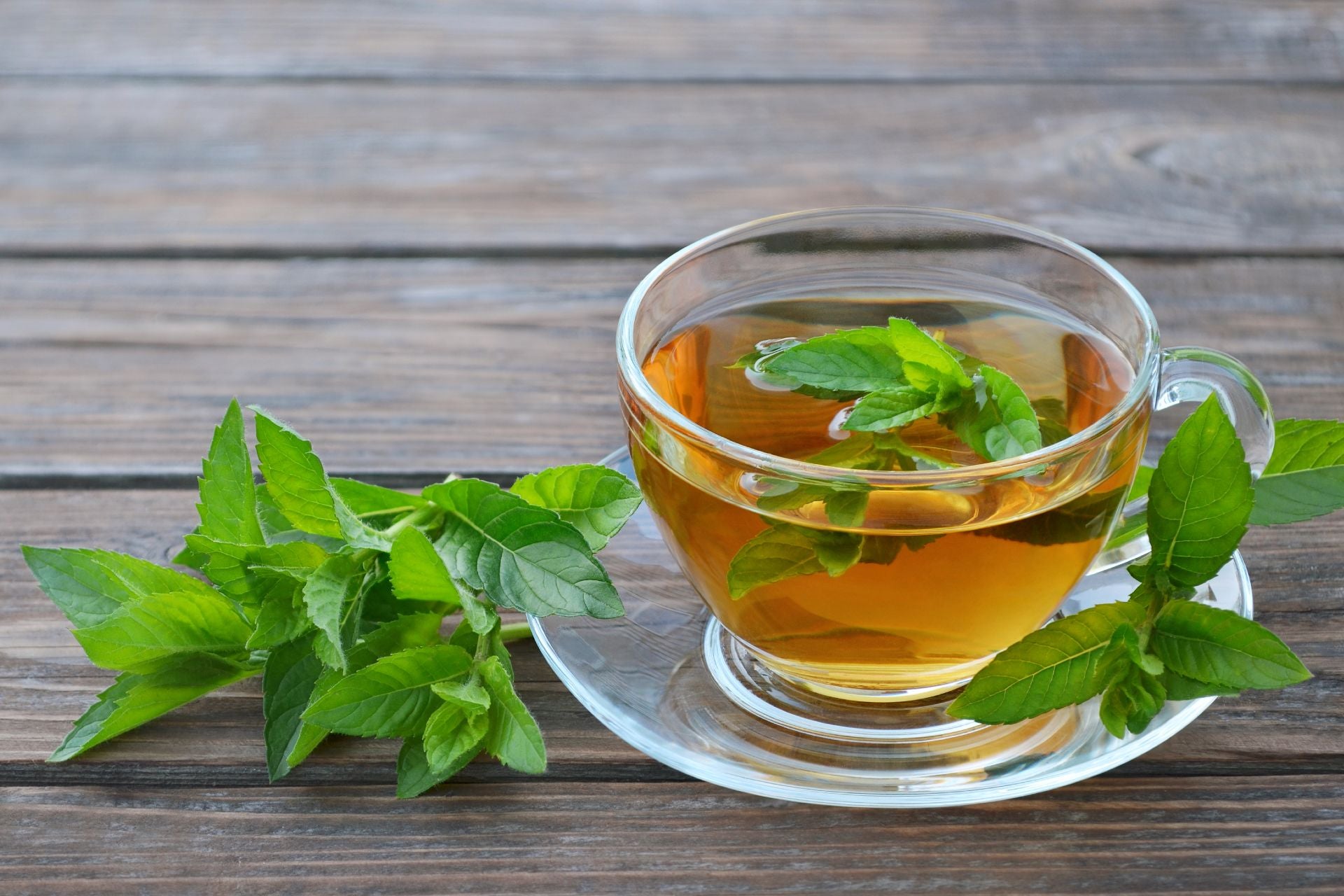 mint-tea-what-is